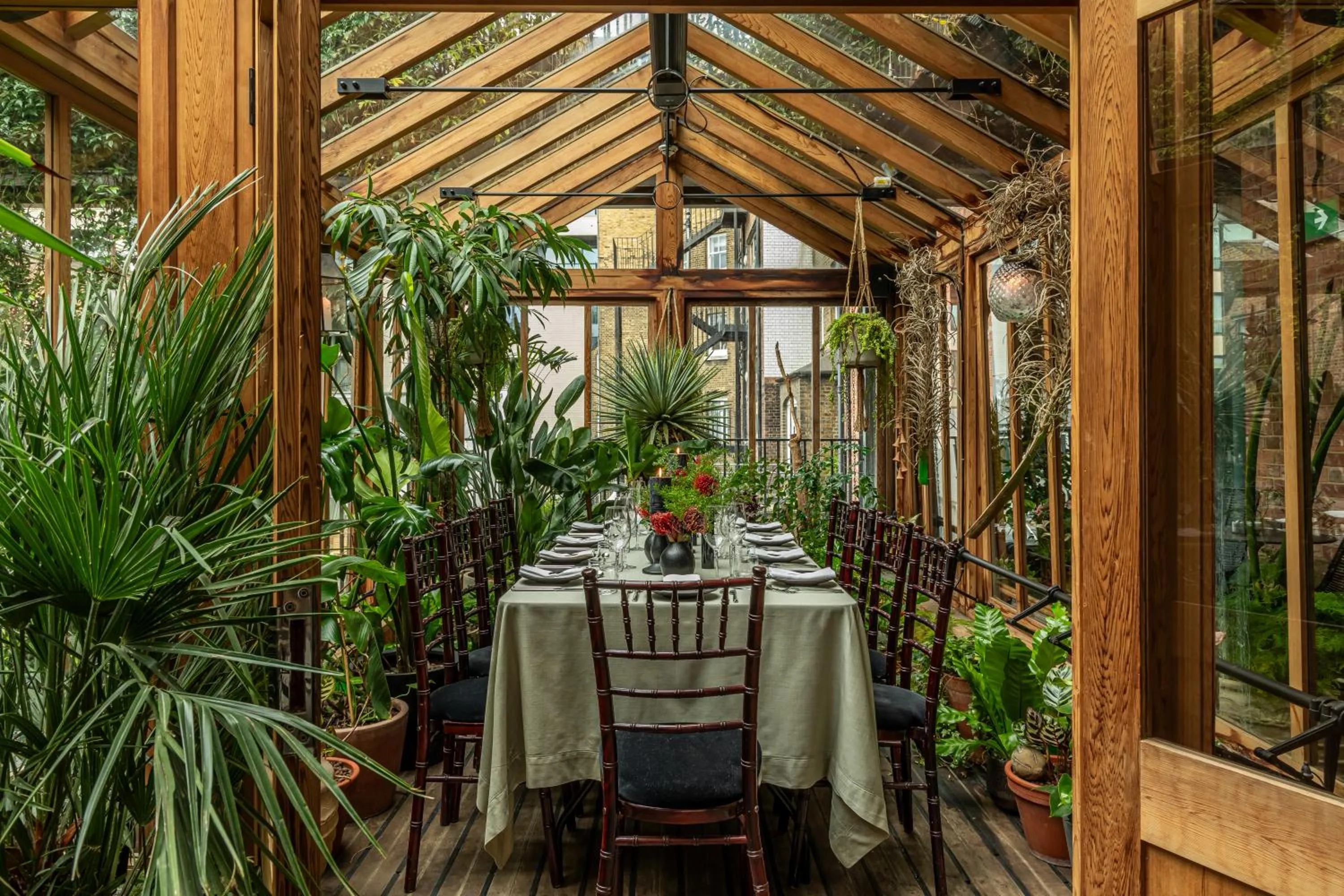 Garden in The Mandrake