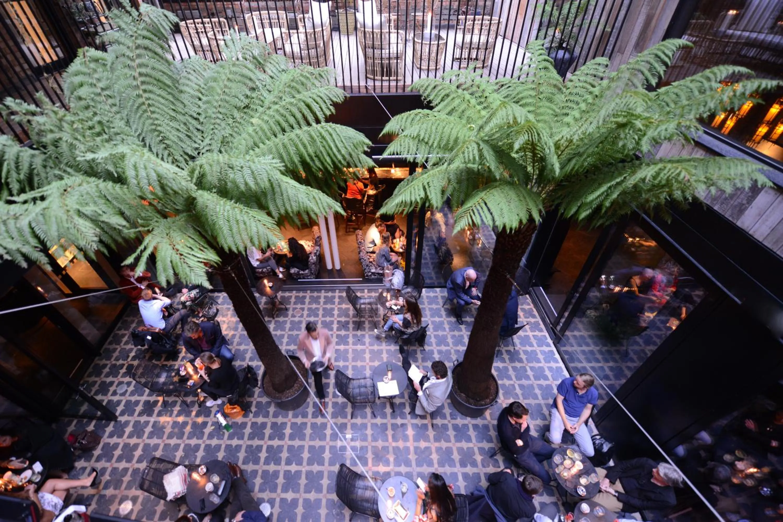 Garden in The Mandrake