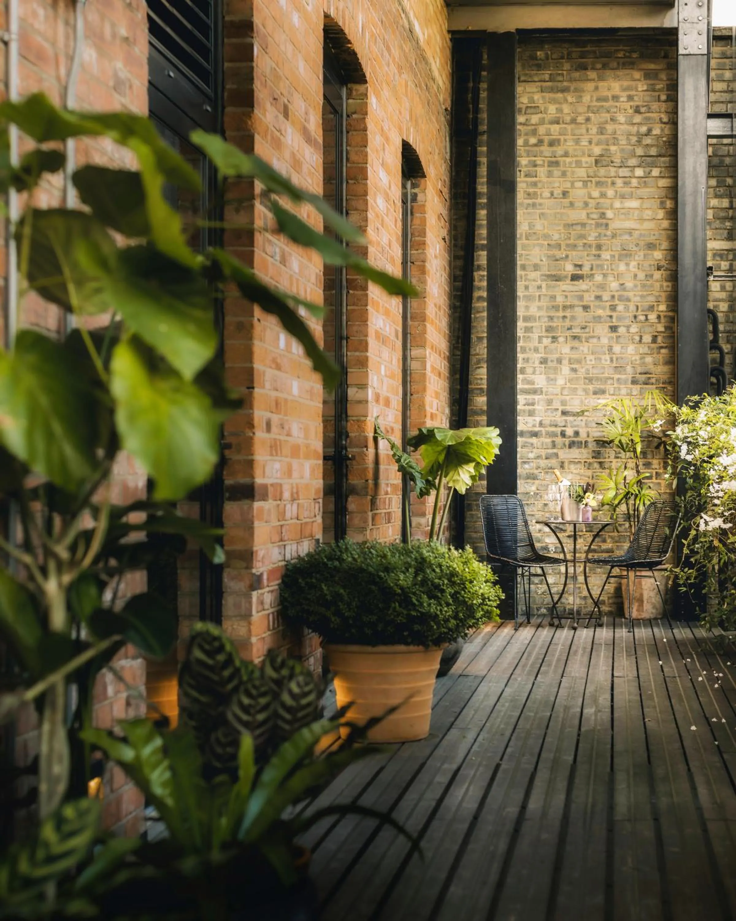 Balcony/Terrace in The Mandrake
