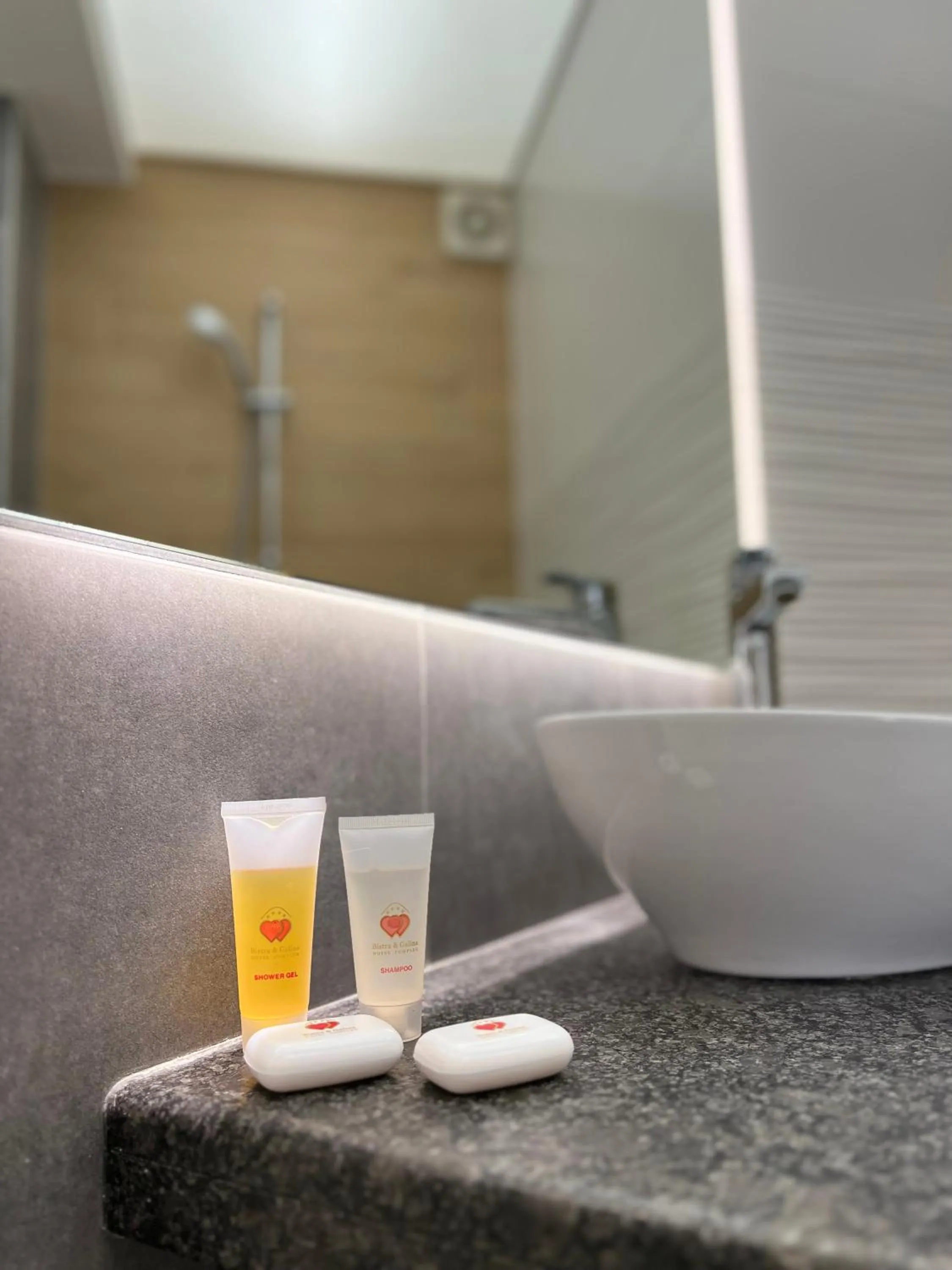 Bathroom in Bistra & Galina Hotel