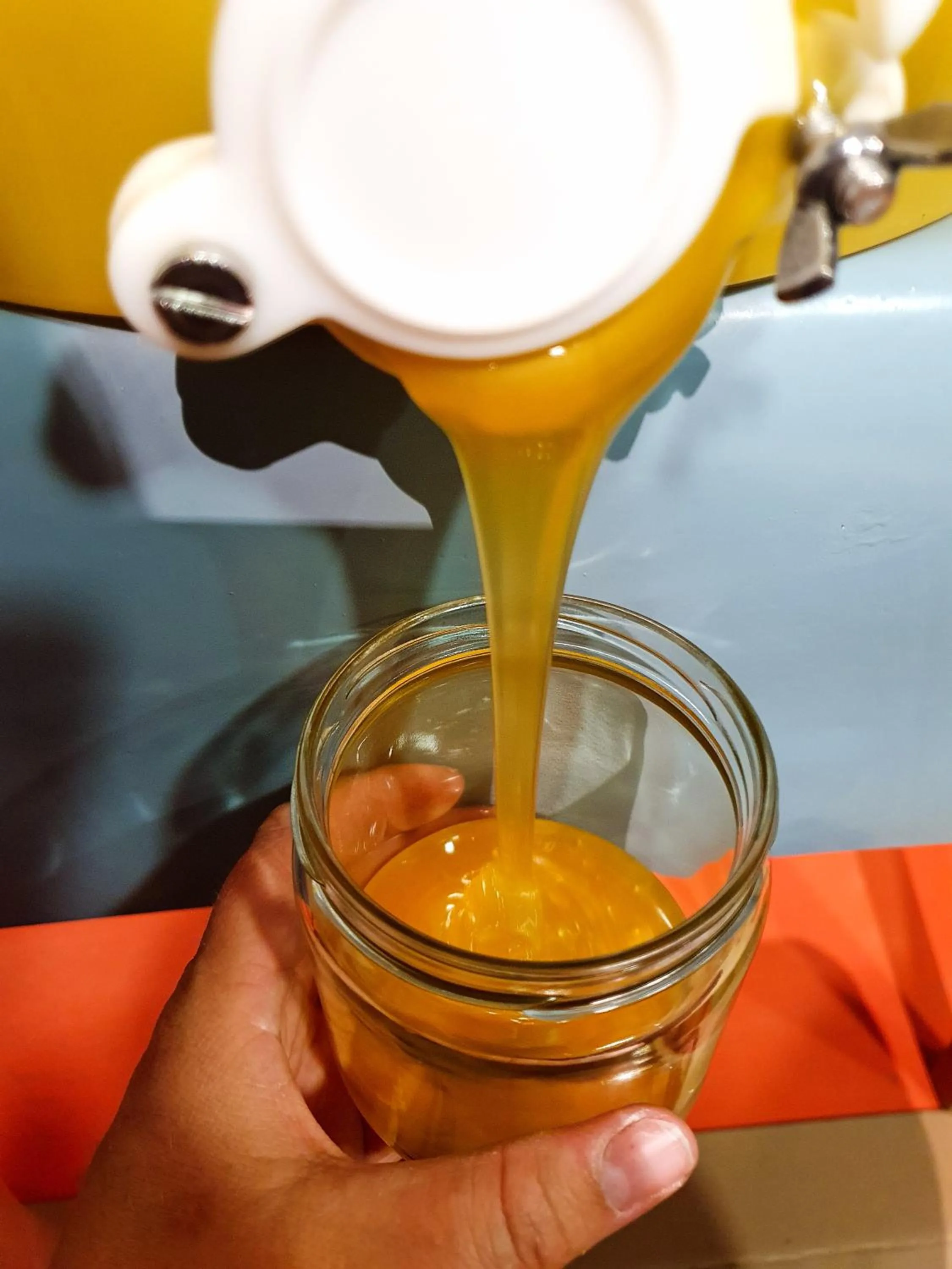 Spring in BnB Haus Weibel