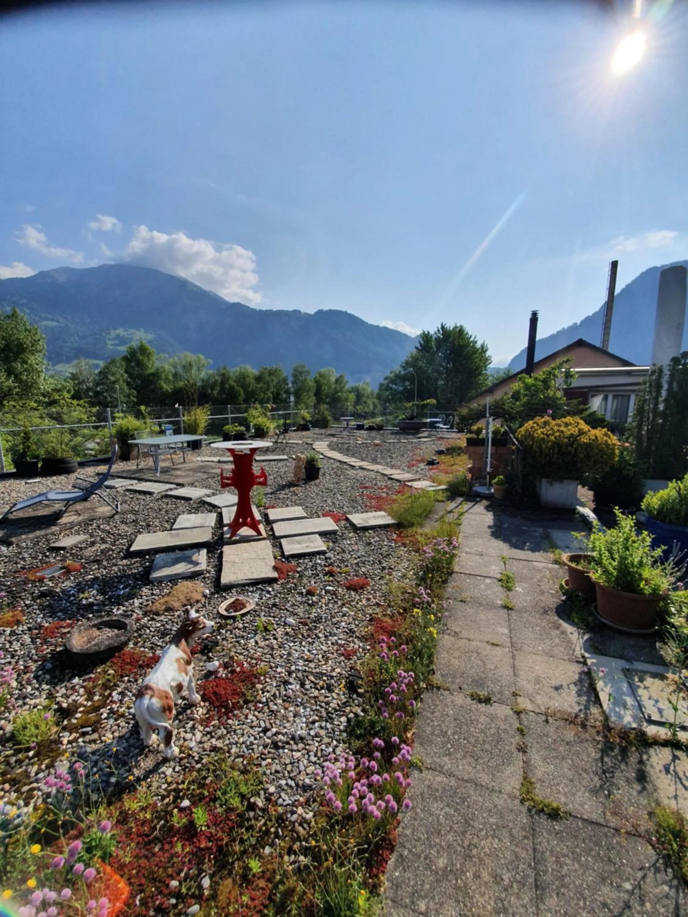 Spring in BnB Haus Weibel