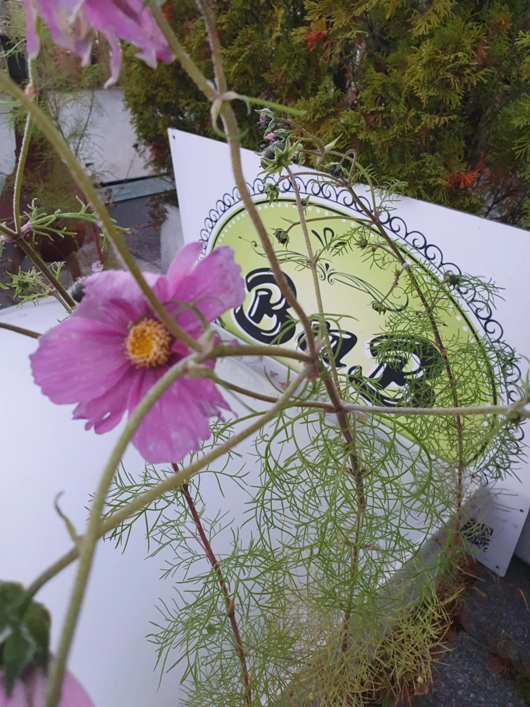 Property logo or sign in BnB Haus Weibel