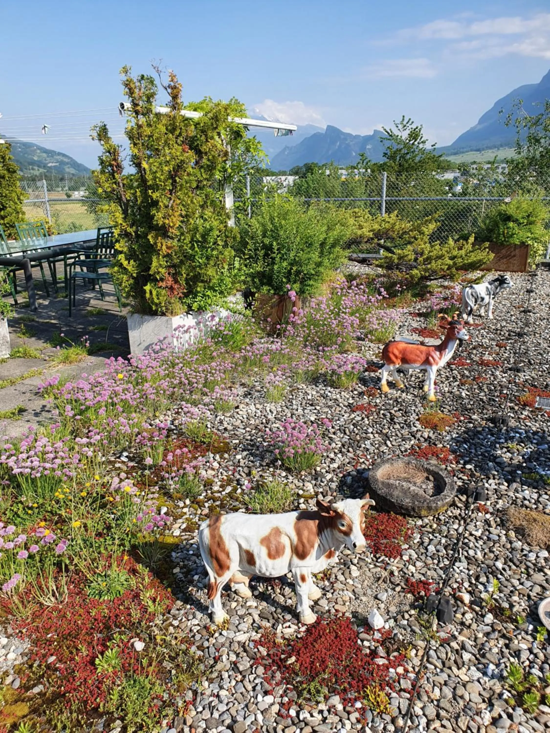 Spring in BnB Haus Weibel