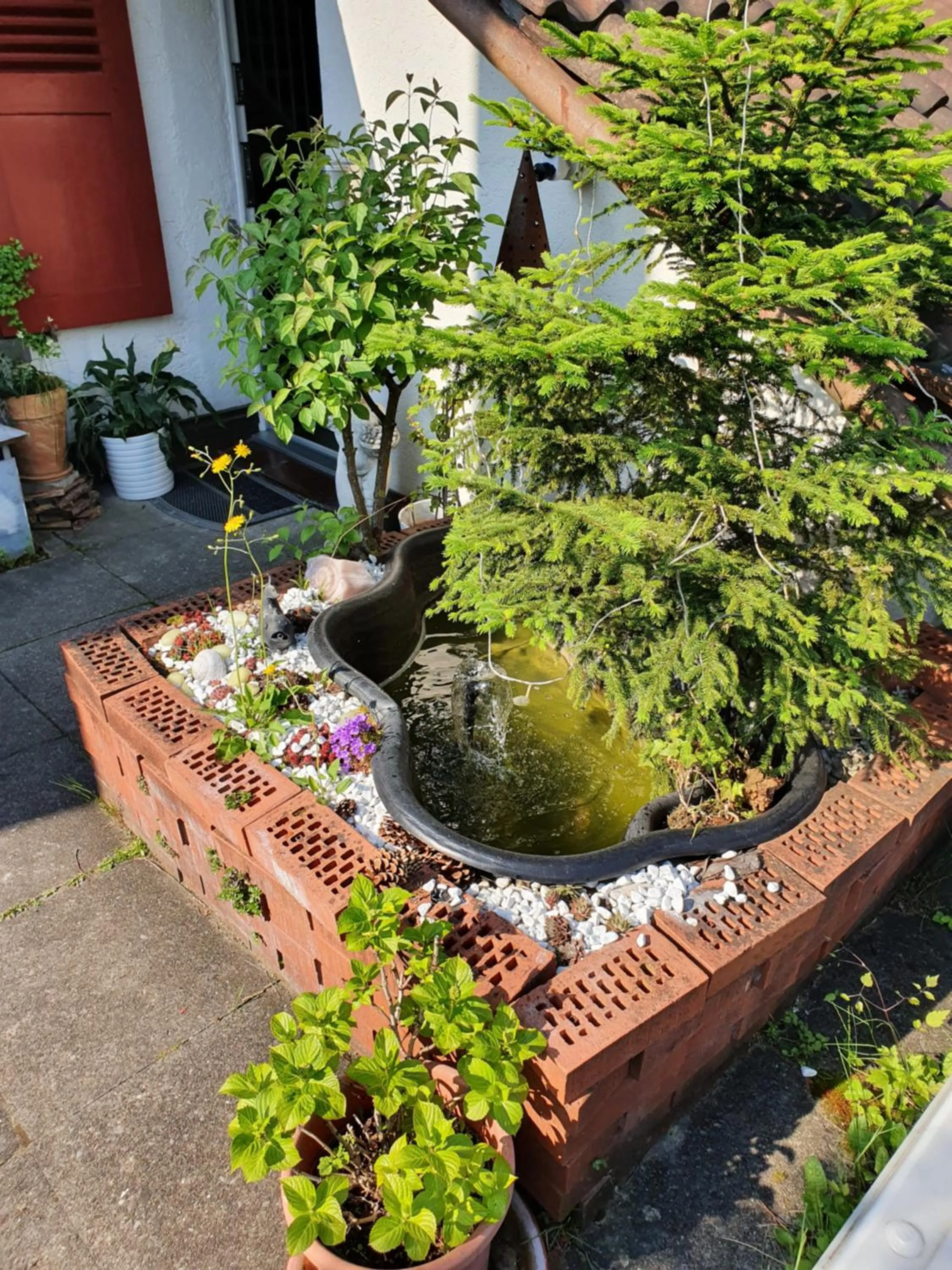 Garden view in BnB Haus Weibel