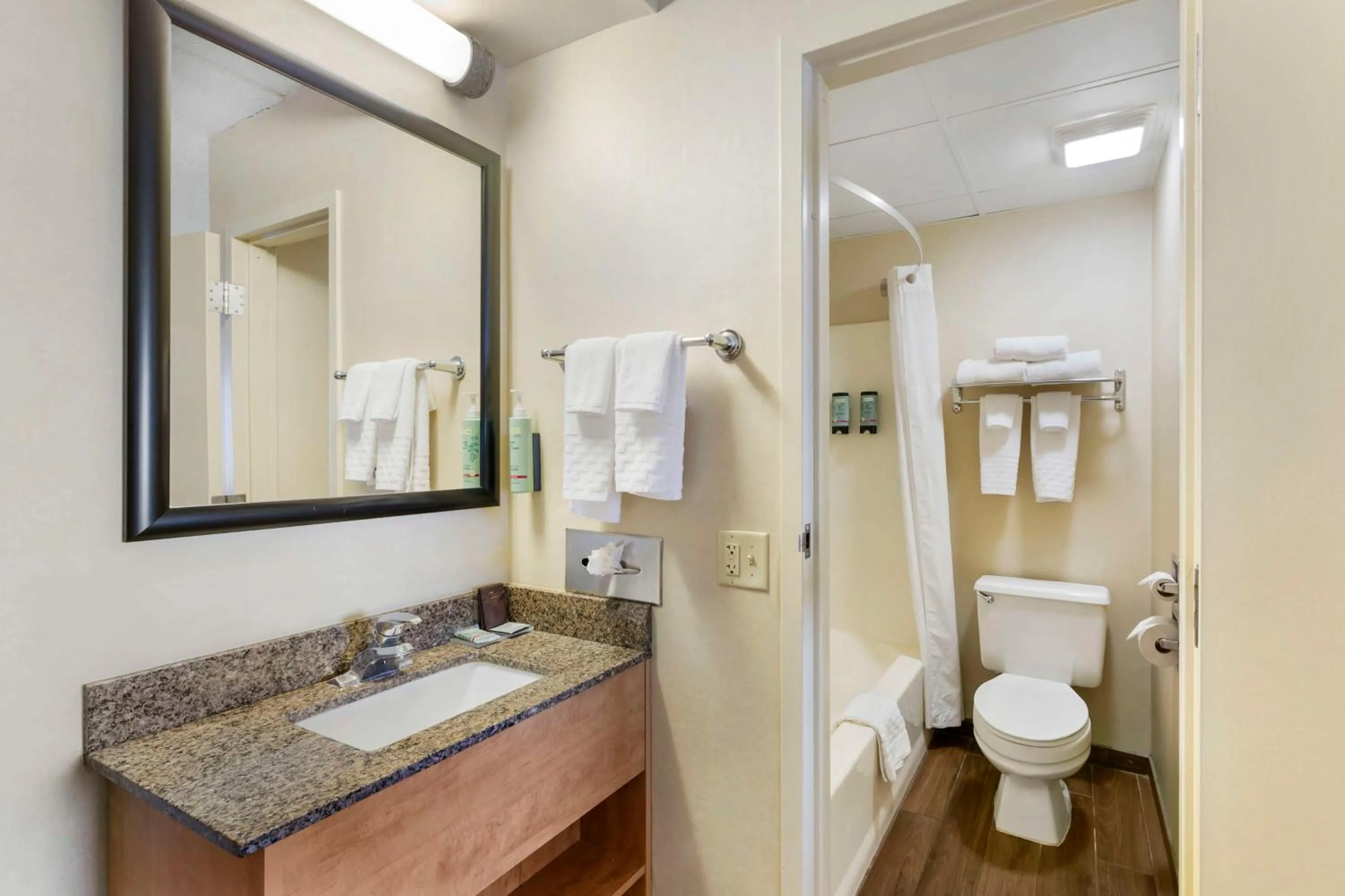 Bathroom in Best Western Rochester Marketplace Inn