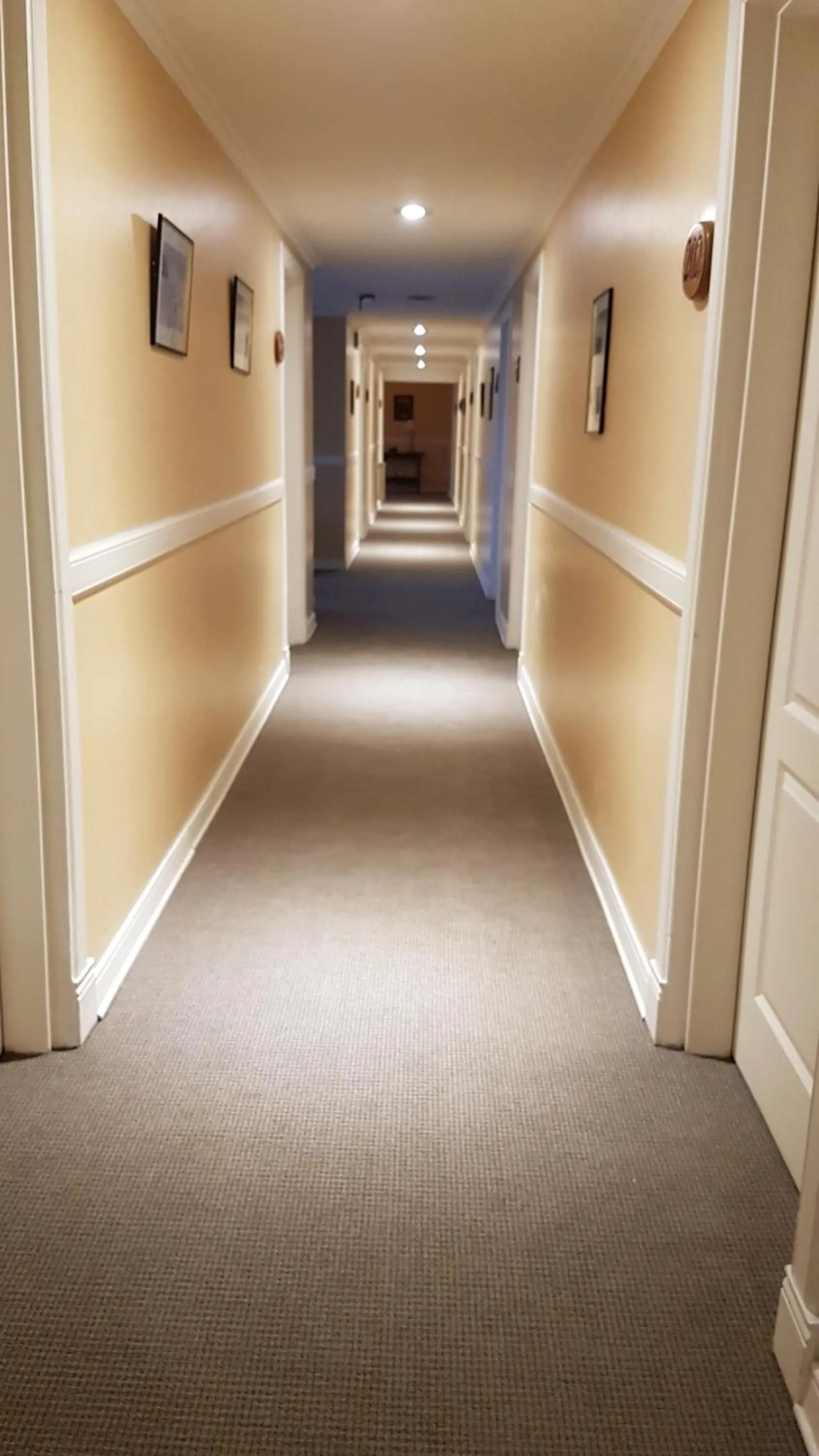 Area and facilities in Hotel Kapenke