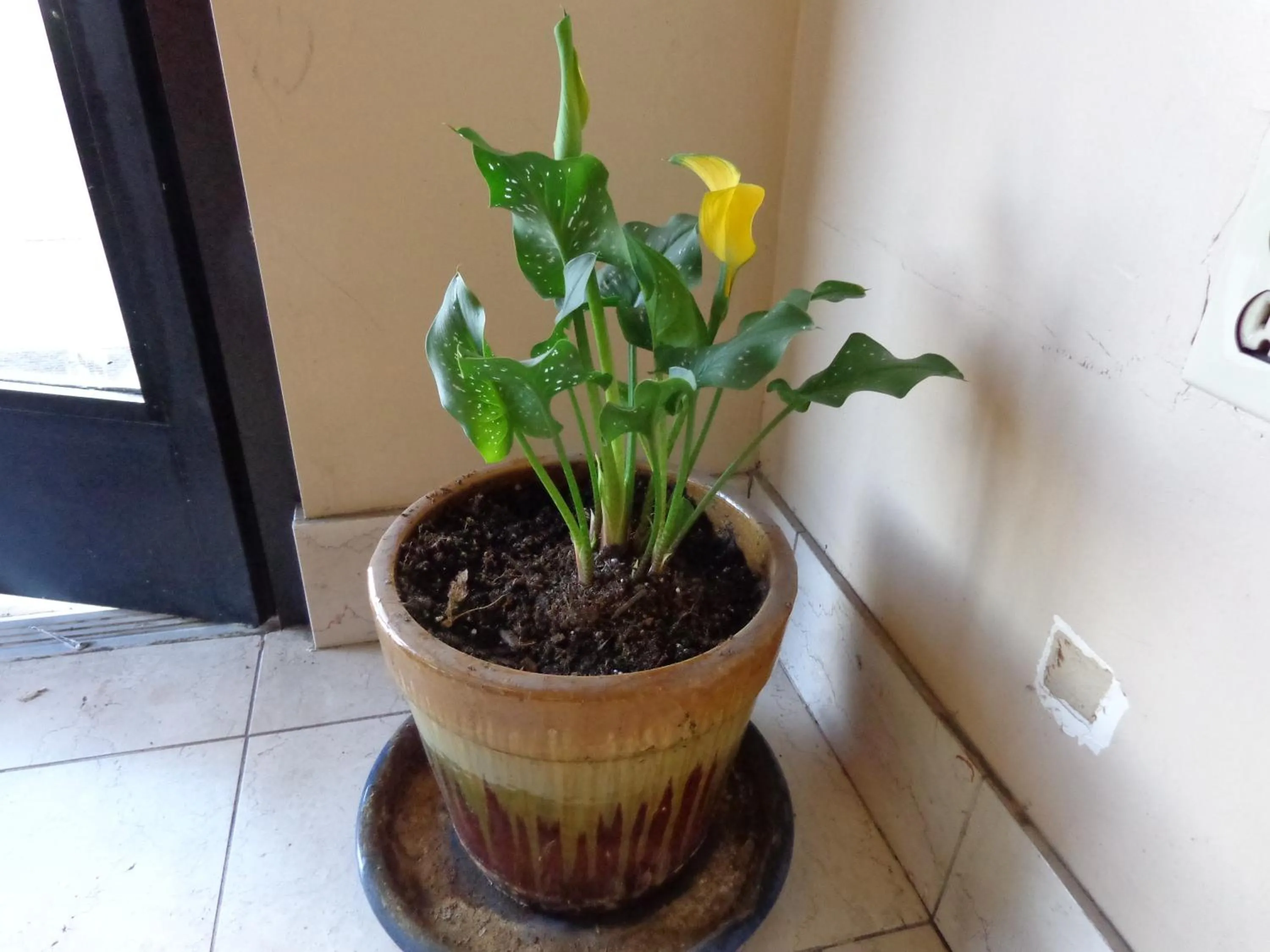 Other in Knights Inn Phoenix at N Black Canyon Hwy