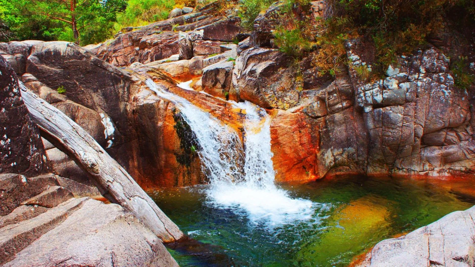 Other in Agrinho Suites & Spa Gerês