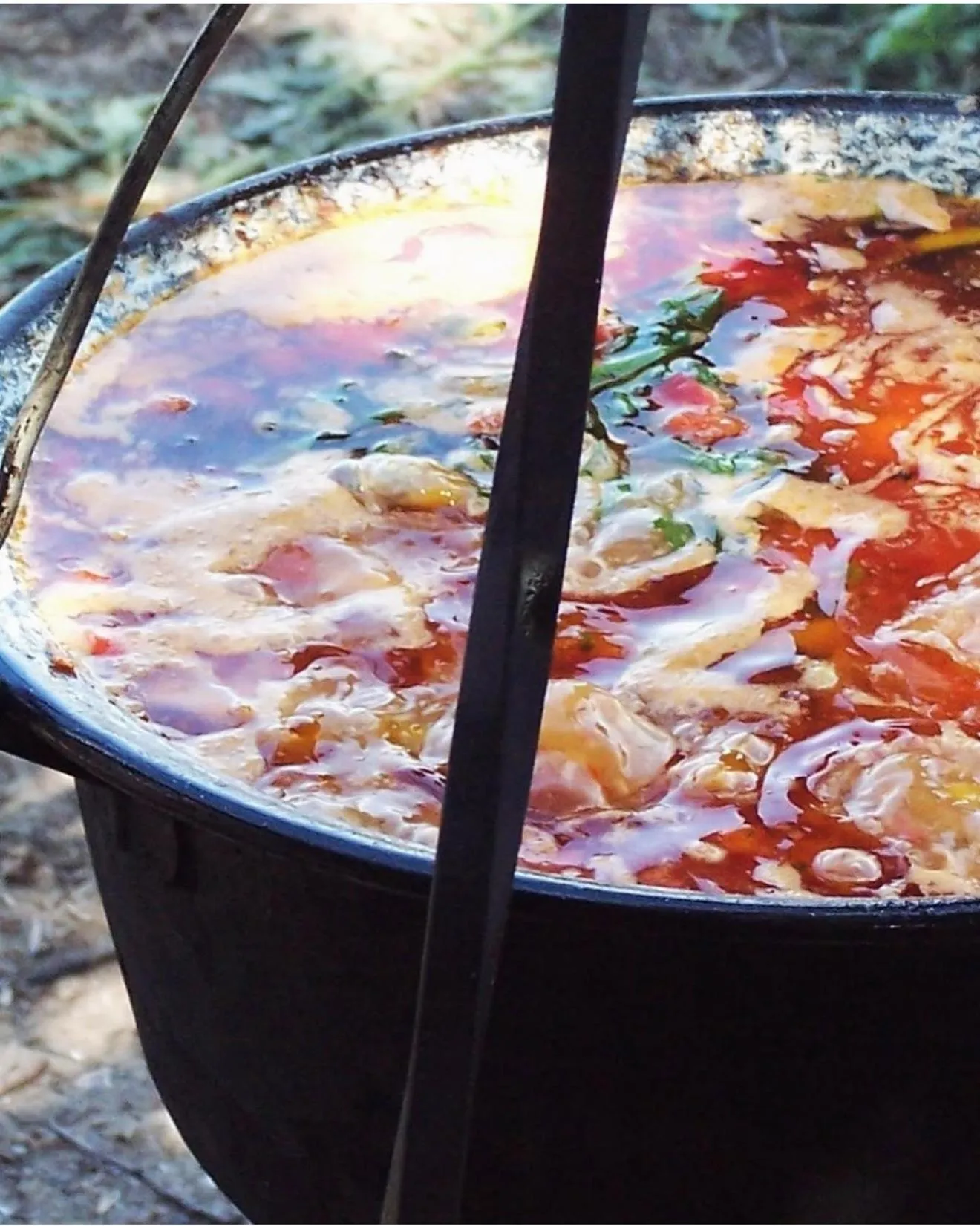 Hotel Baia Rosie Resort