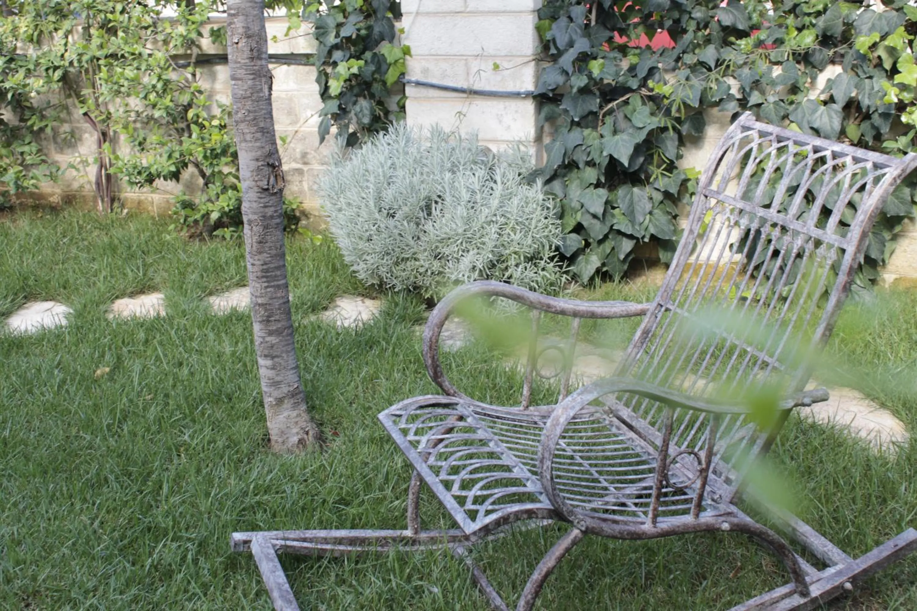 Garden in Borgo San Gaetano