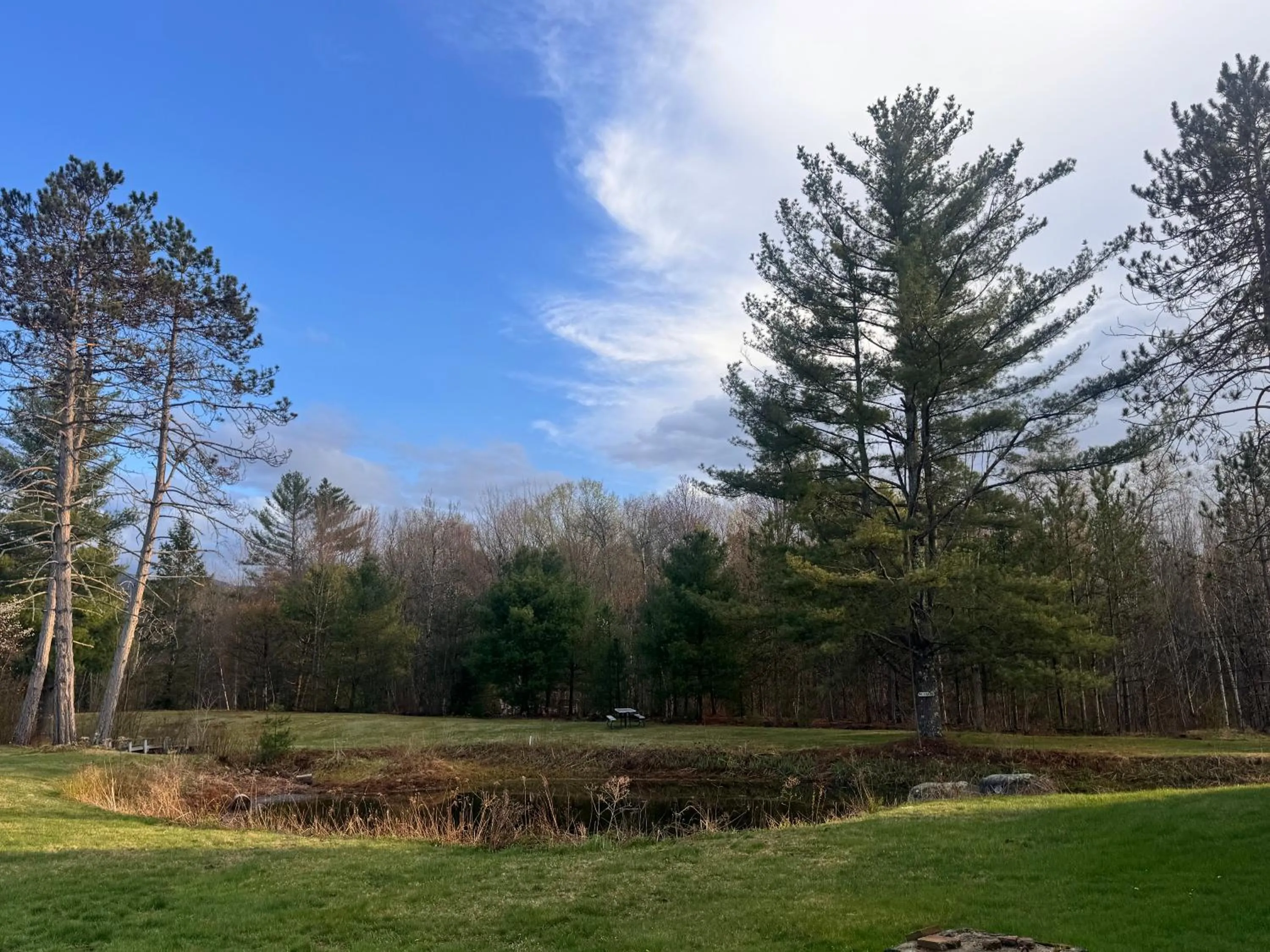 Garden view in Stonybrook Motel & Lodge