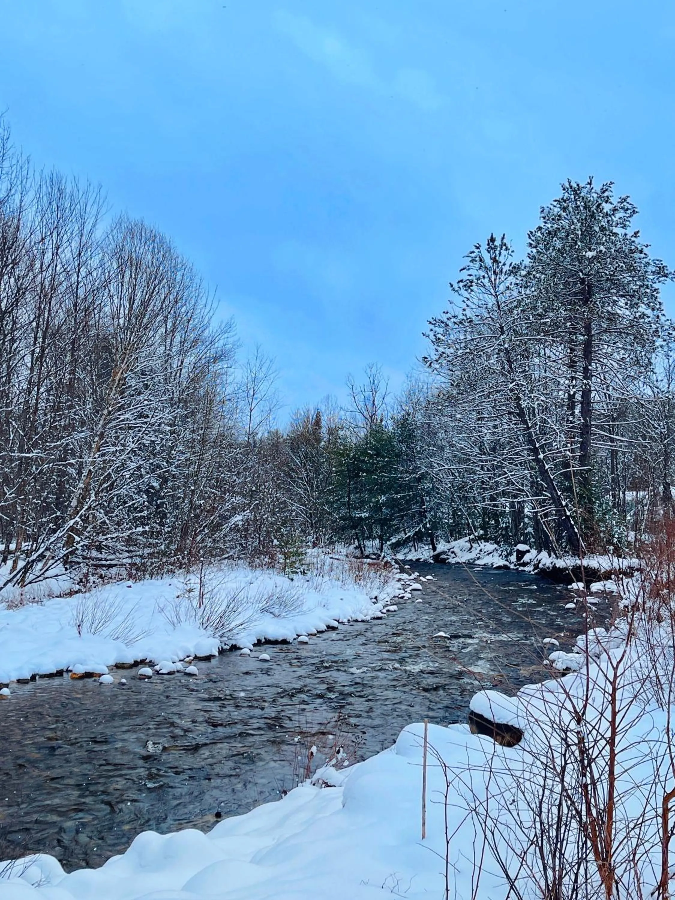 Natural landscape in Stonybrook Motel & Lodge