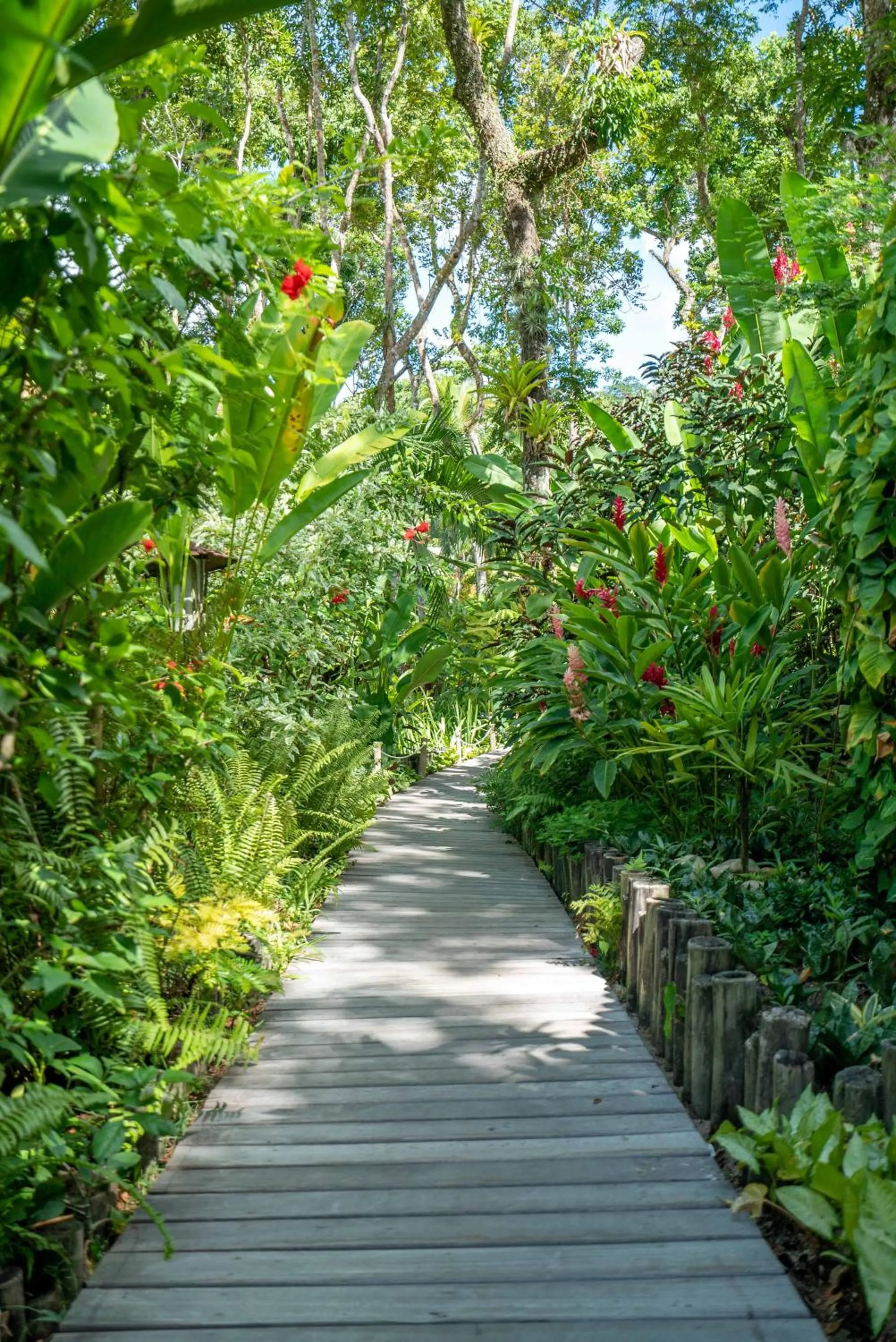 Garden in Pousada do Bosque
