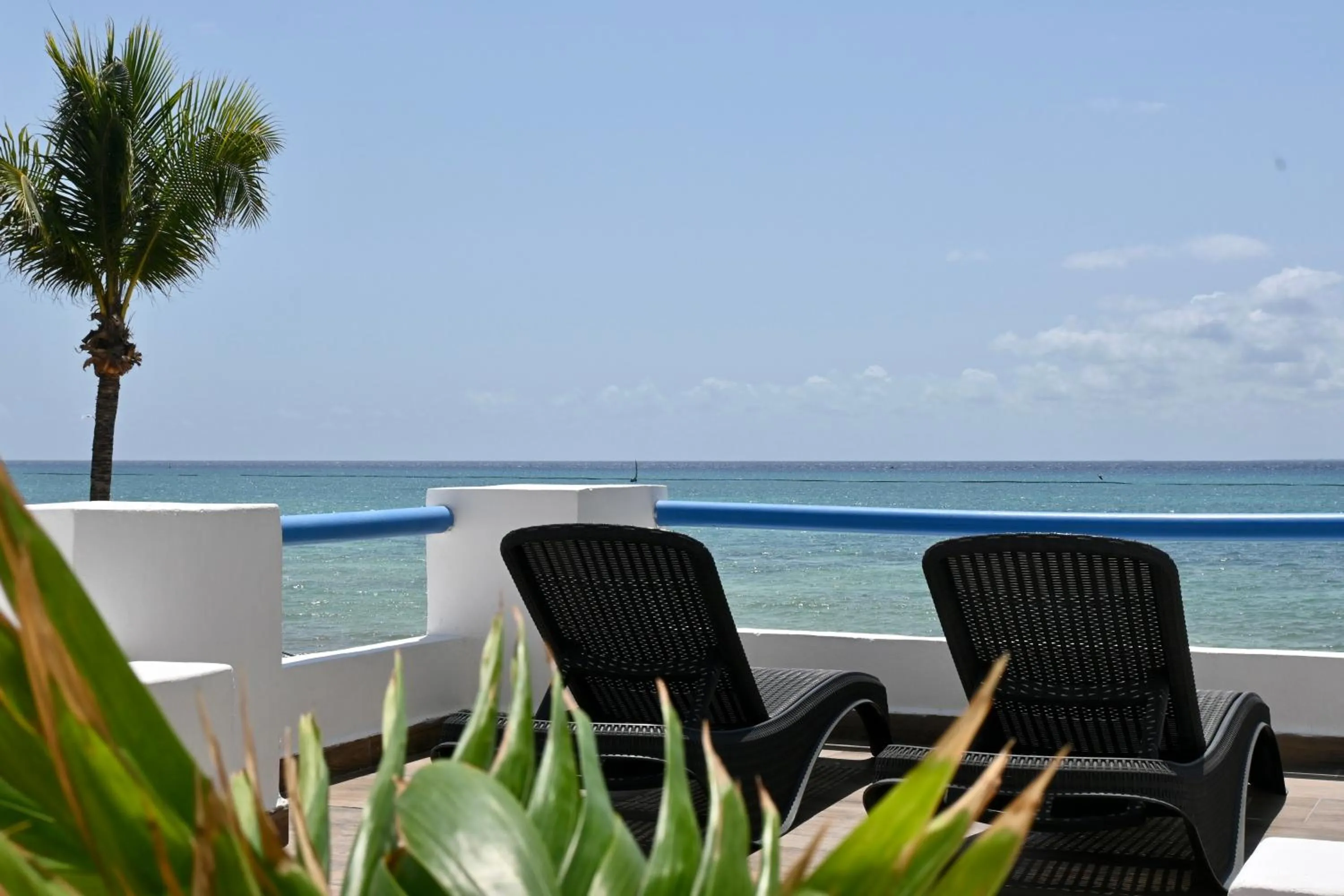 Day in Pelicano Inn Playa del Carmen - Beachfront Hotel