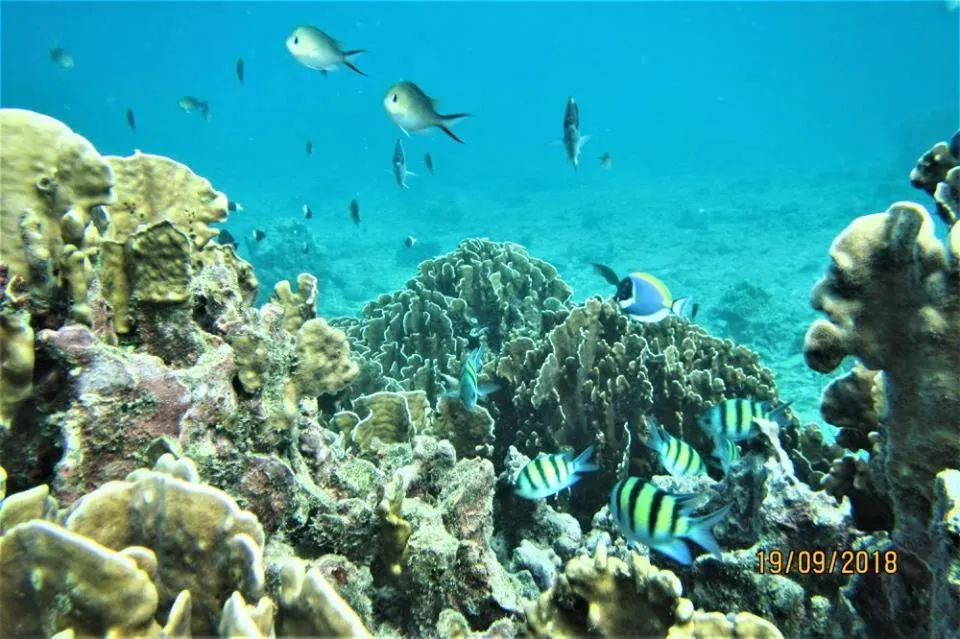 Snorkeling in Pulau Weh Paradise