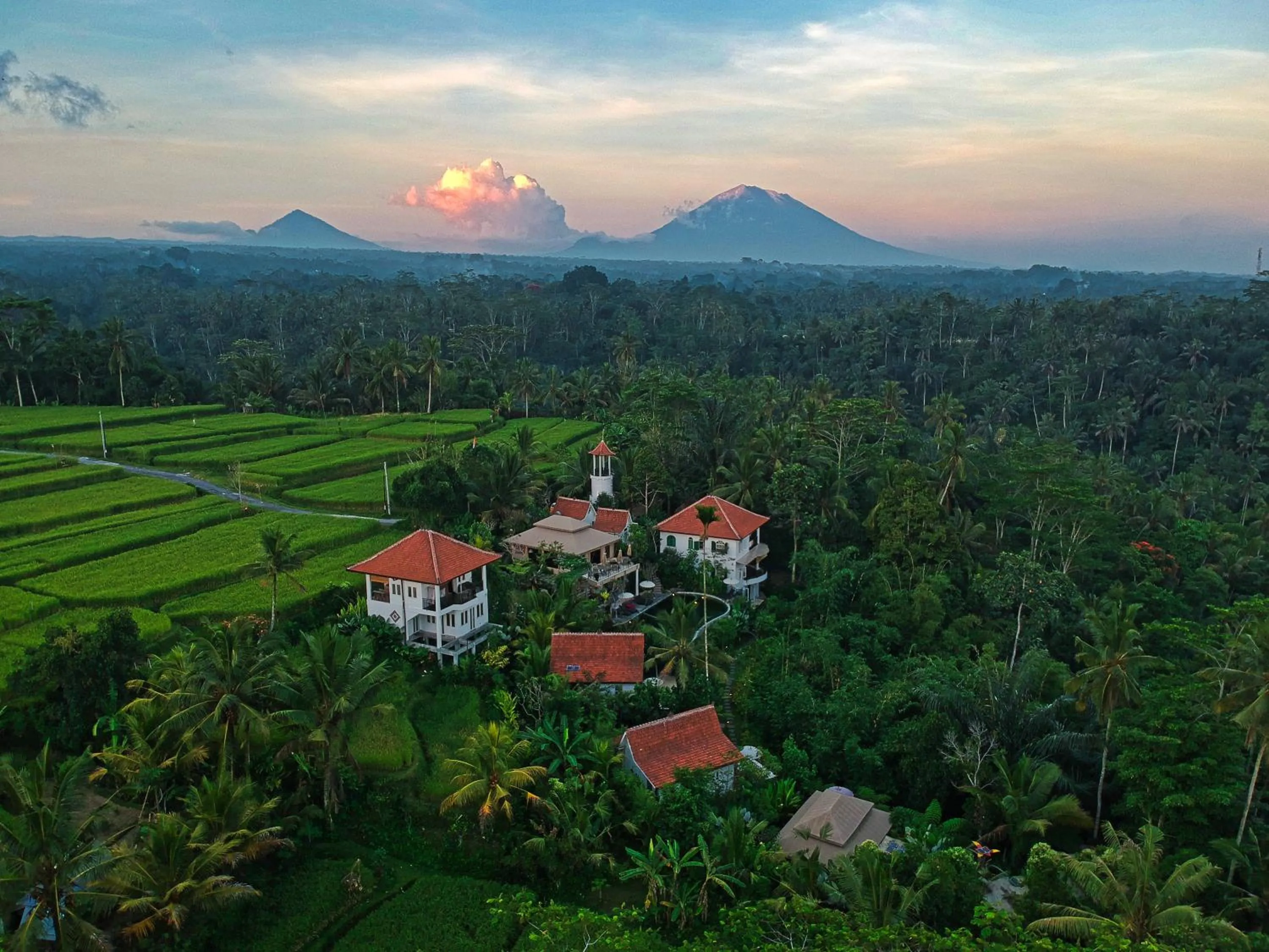 Bird's eye view in Sebatu Sanctuary Eco-resort