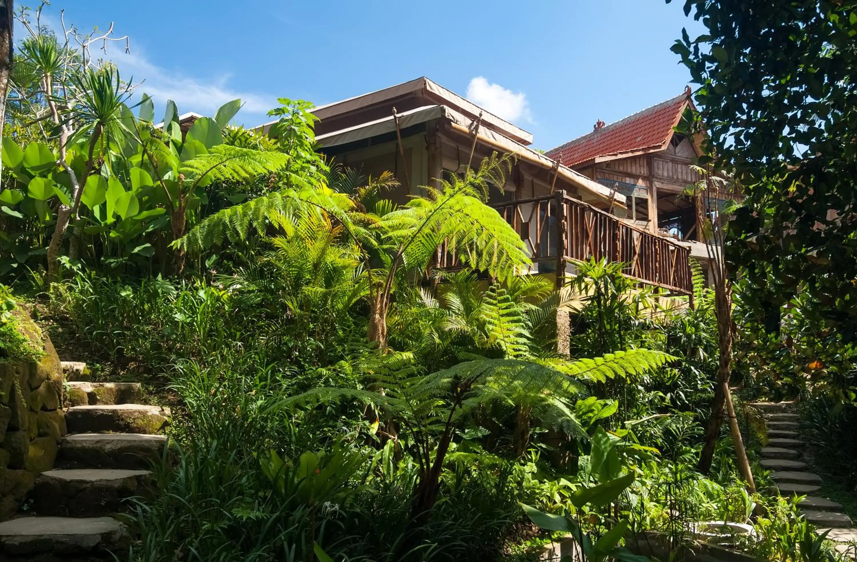 Natural landscape in Sebatu Sanctuary Eco-resort