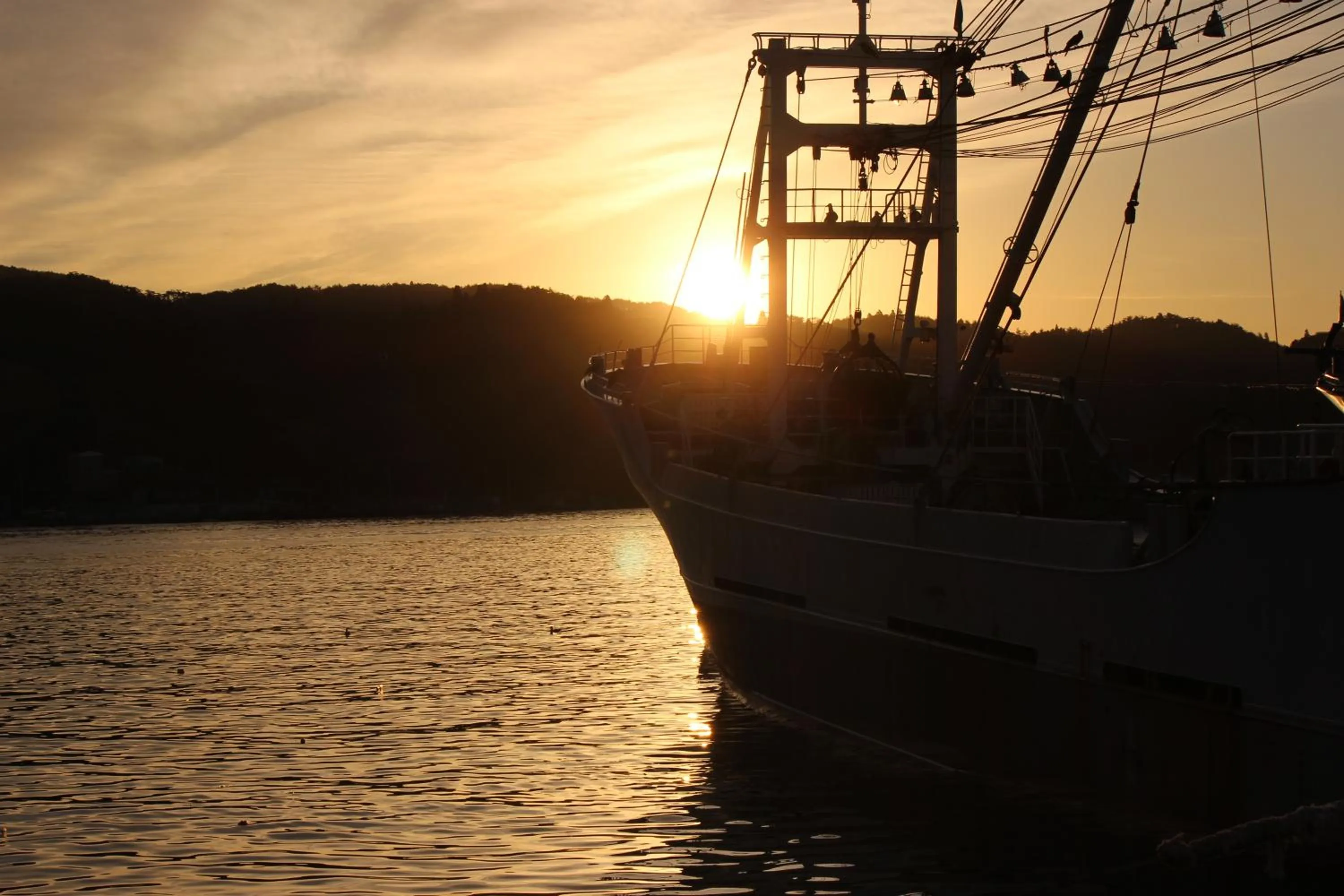 Natural landscape in Hotel Ikkeikaku