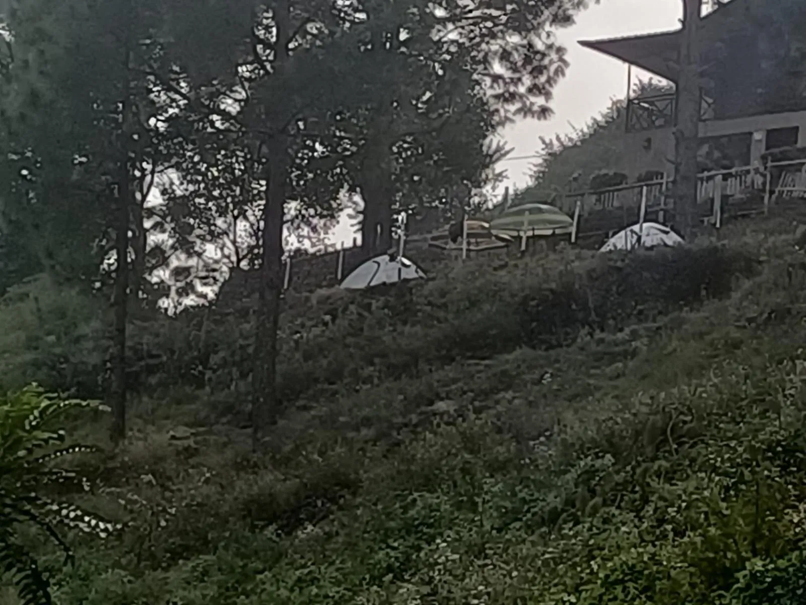 Nainital Adventure Park & Resort