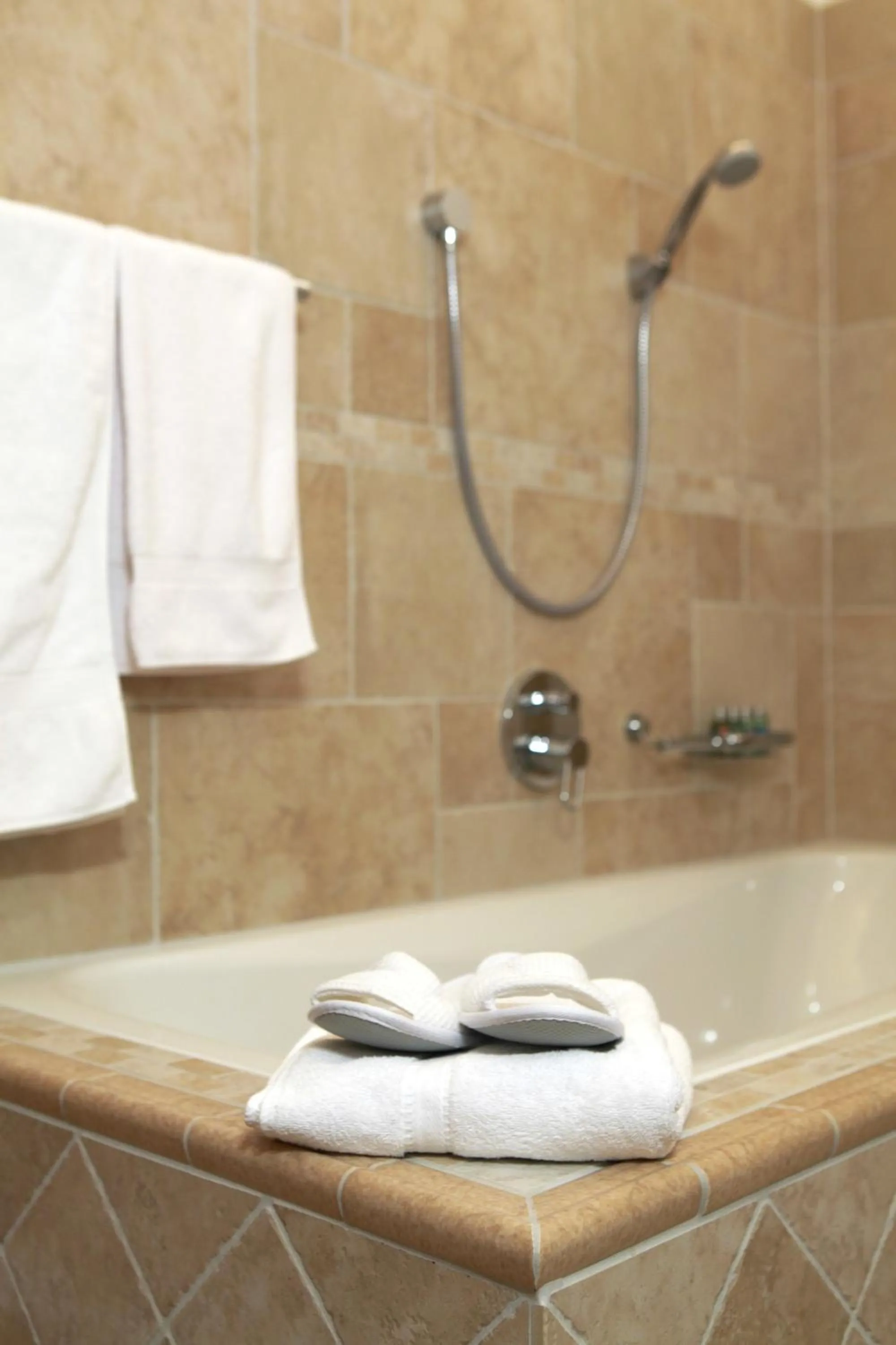 Bathroom in Mountain Lodge, Les Crosets