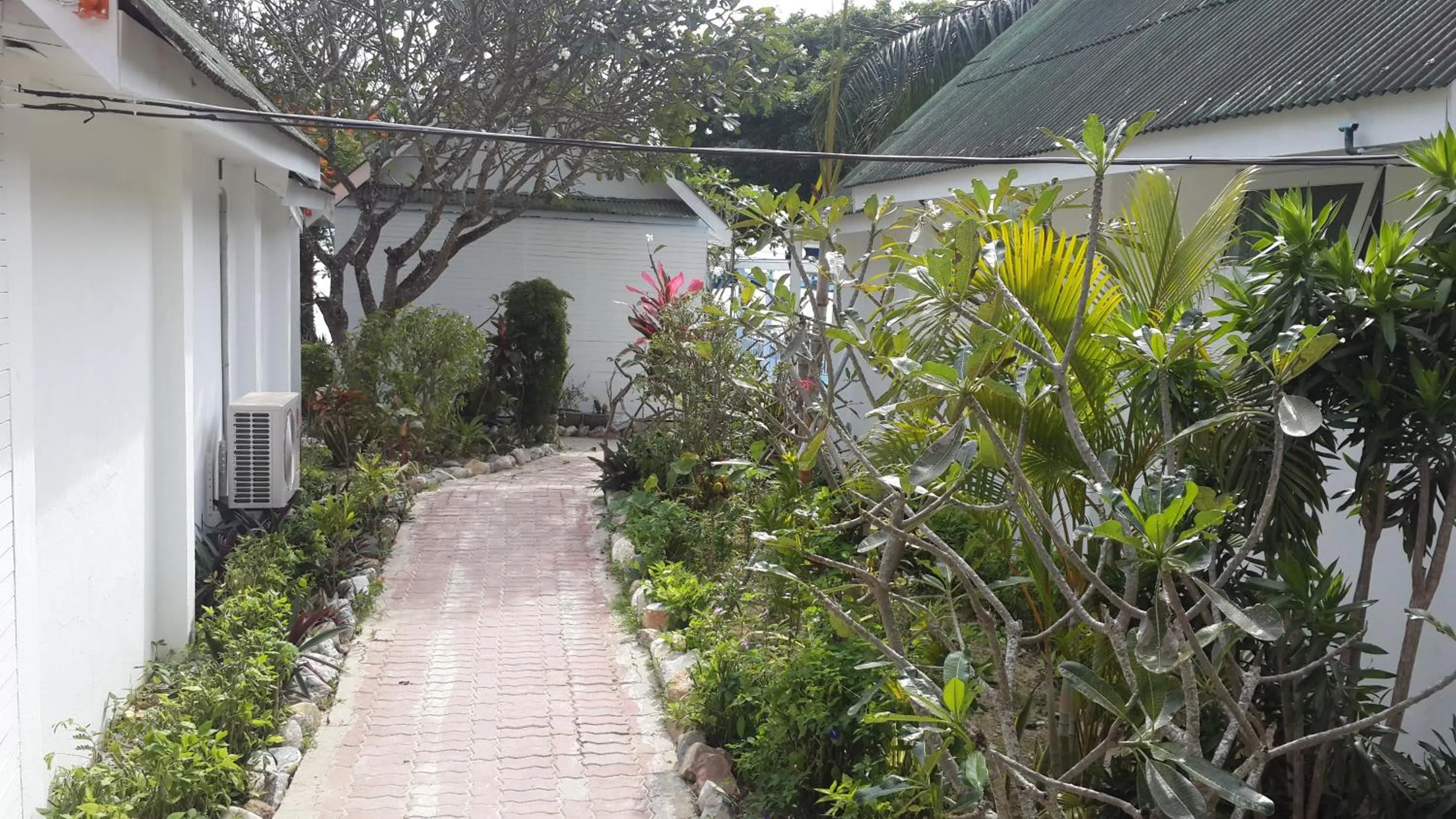 Garden in PP Blue Sky Resort-SHA Plus