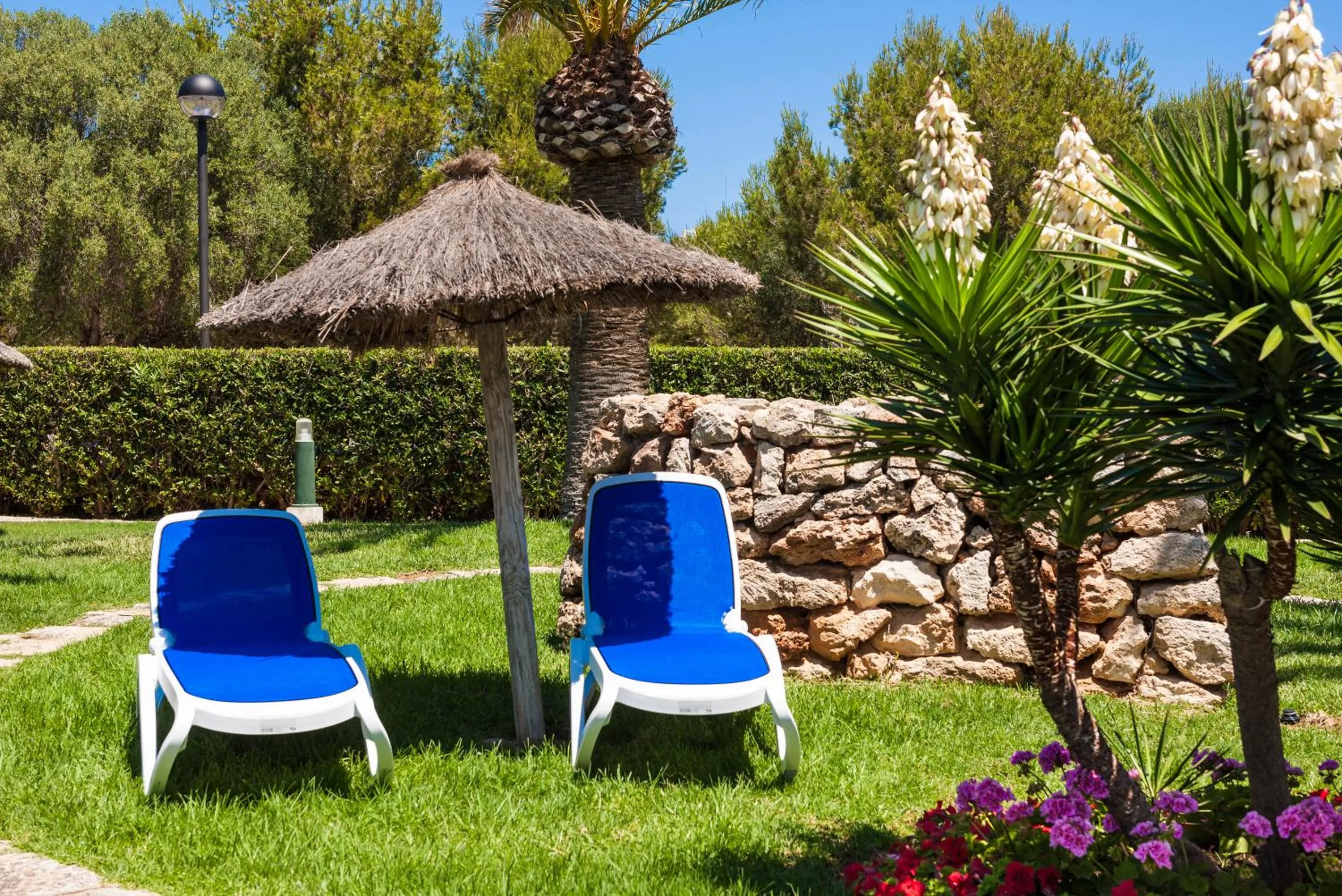 Garden in Globales Cala'n Blanes