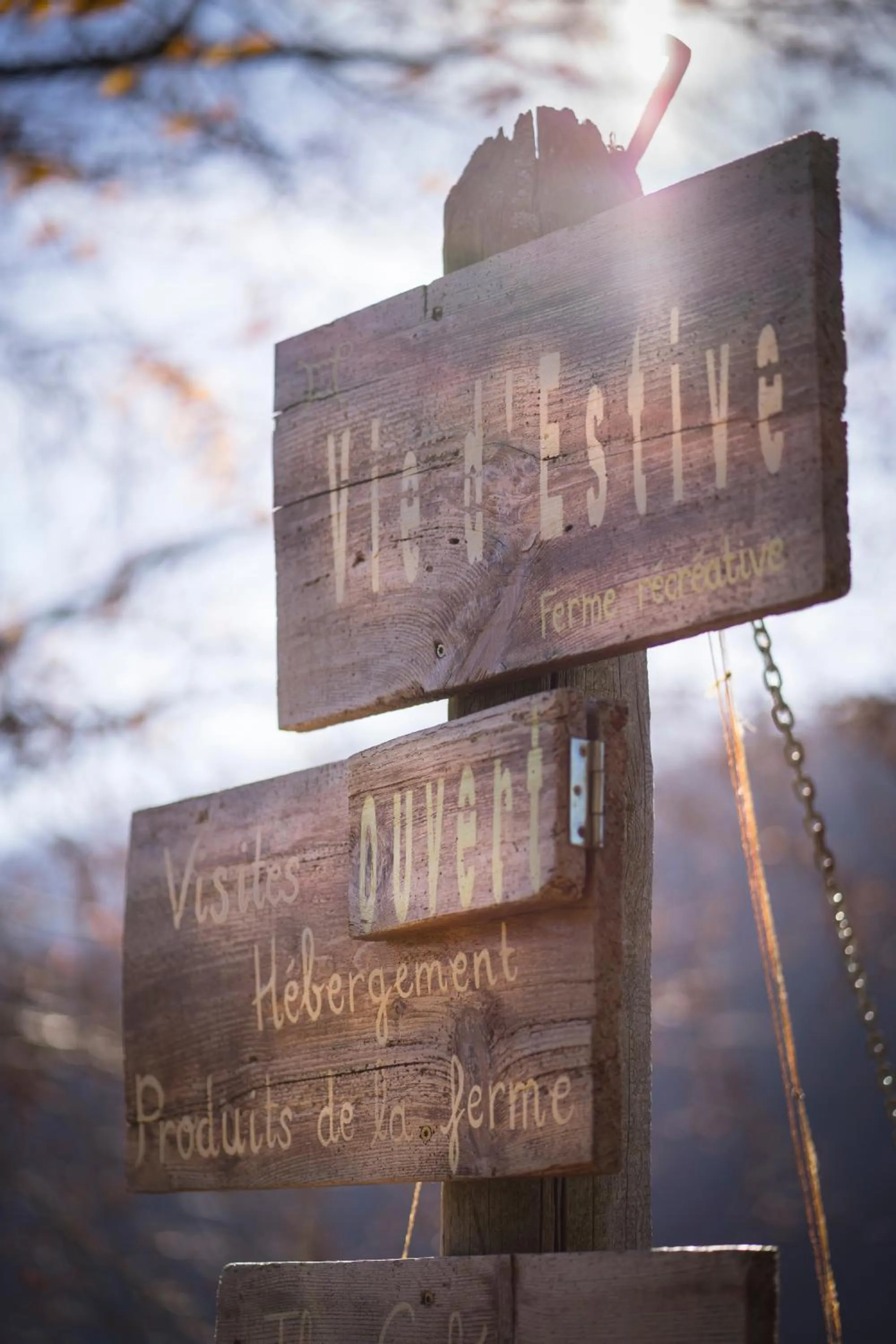 Other in Vie d'Estive