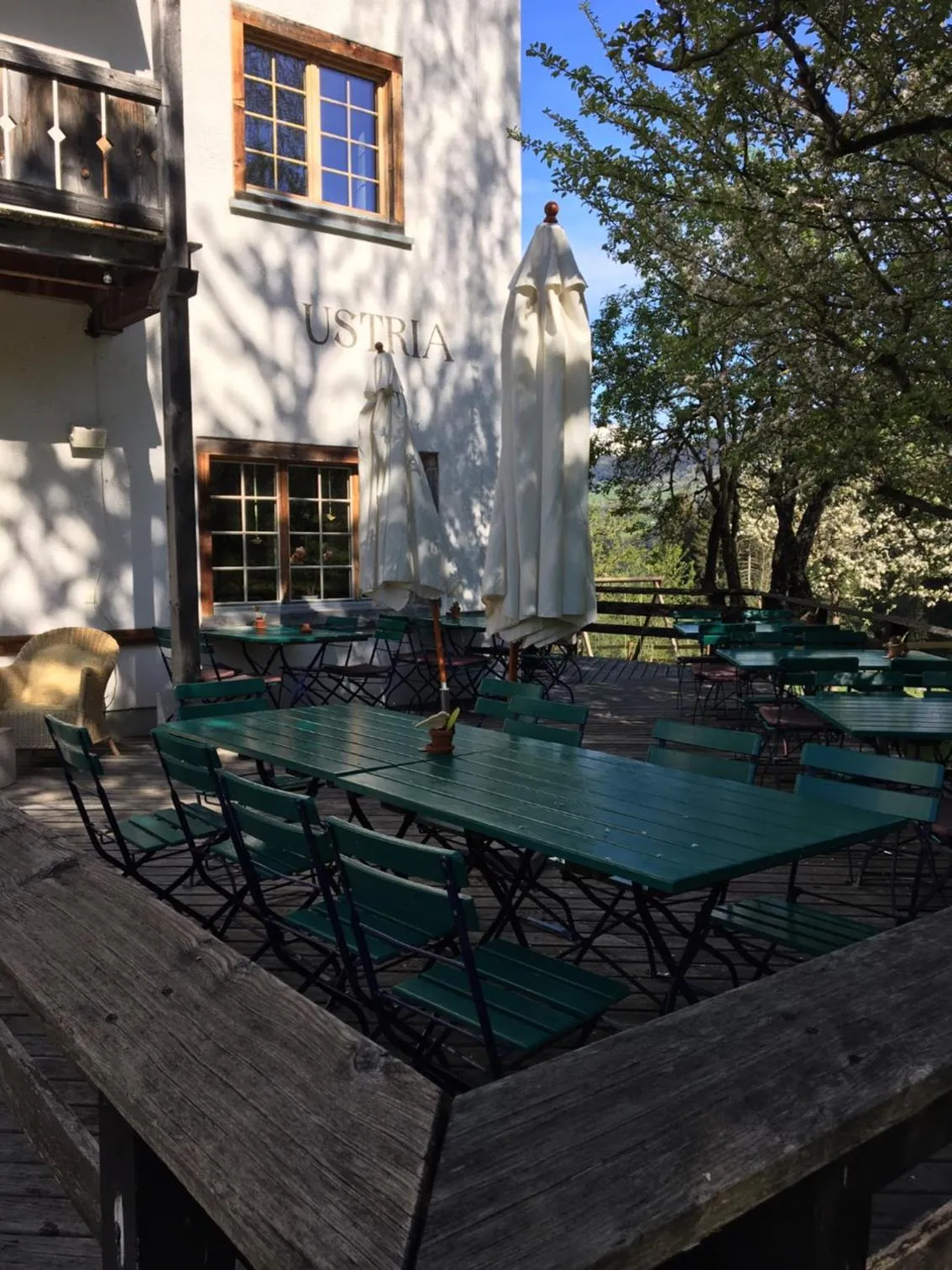 Garden in Hotel Ucliva