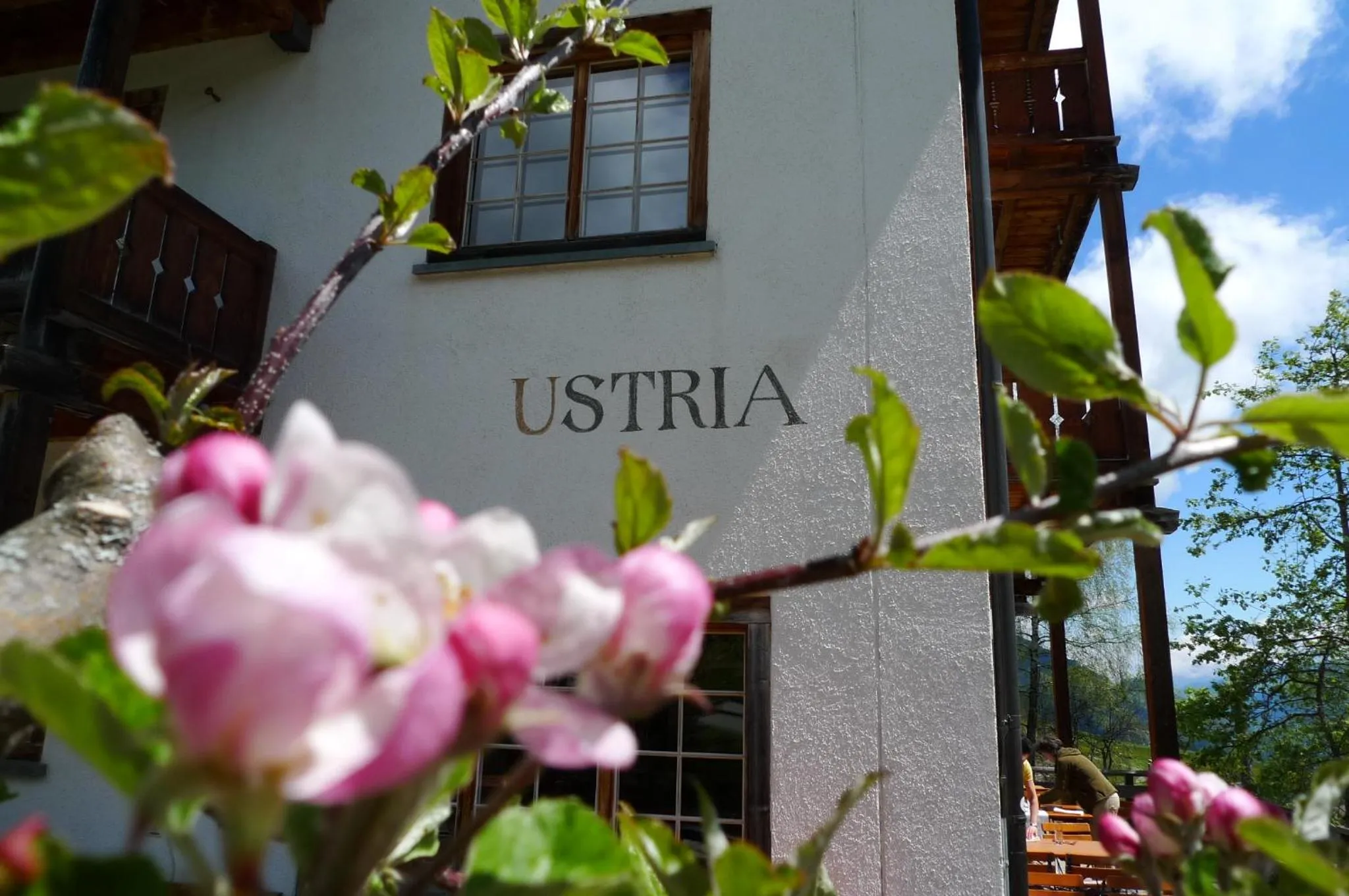 Facade/entrance in Hotel Ucliva