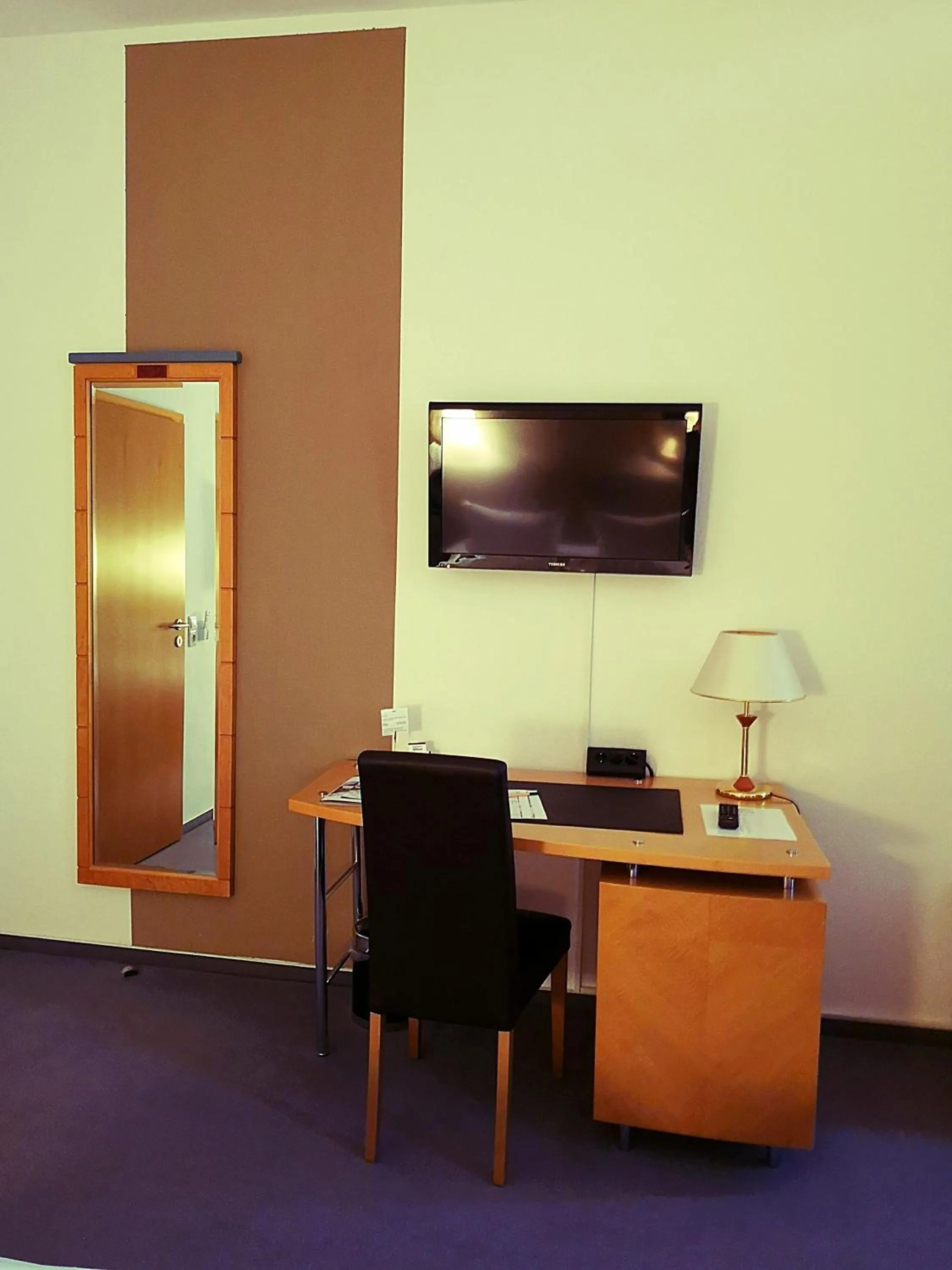 TV and multimedia in Hotel Zur Alten Druckerei