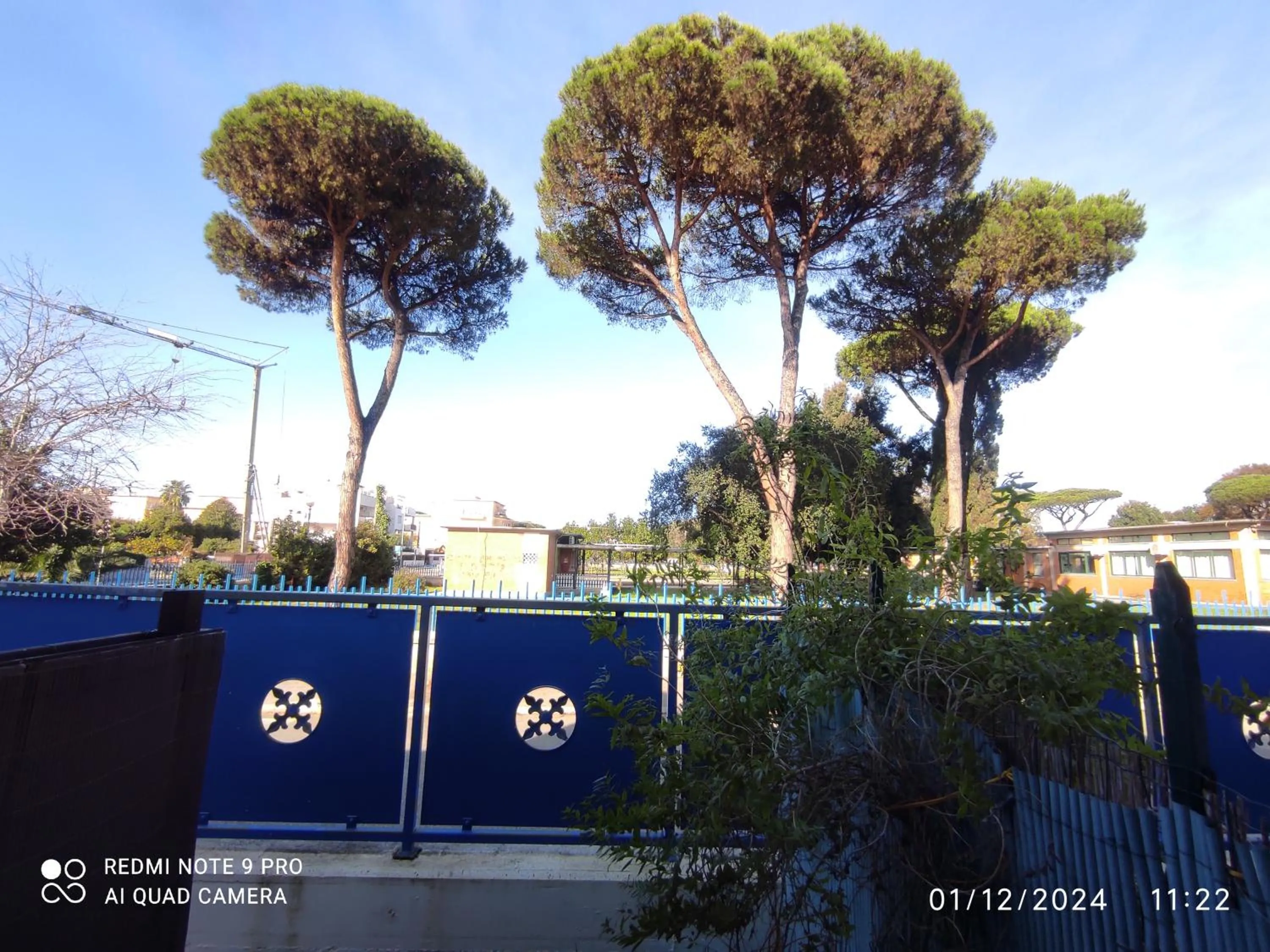 View (from property/room) in Coccinella