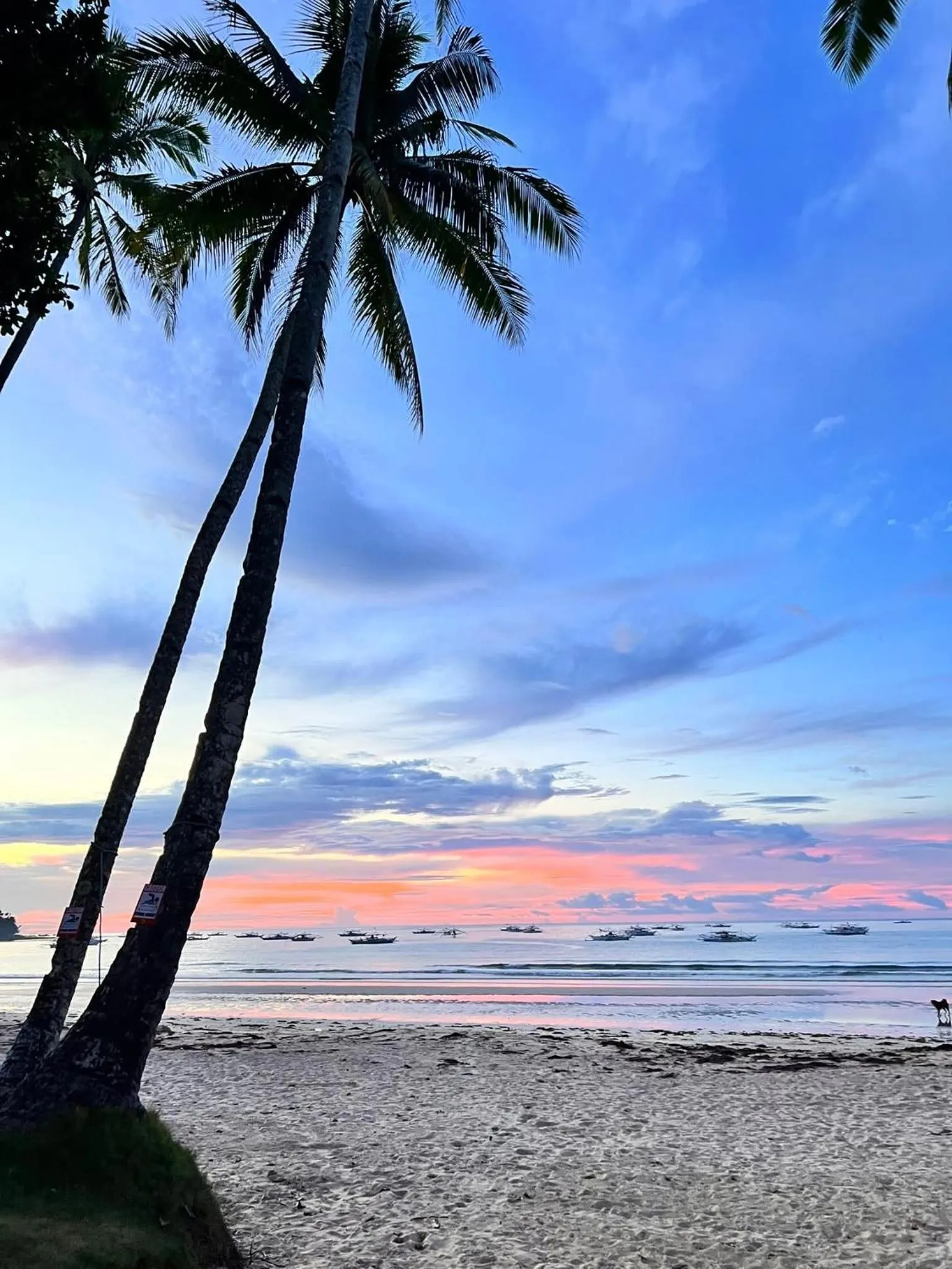 Hill Myna Beach Cottages