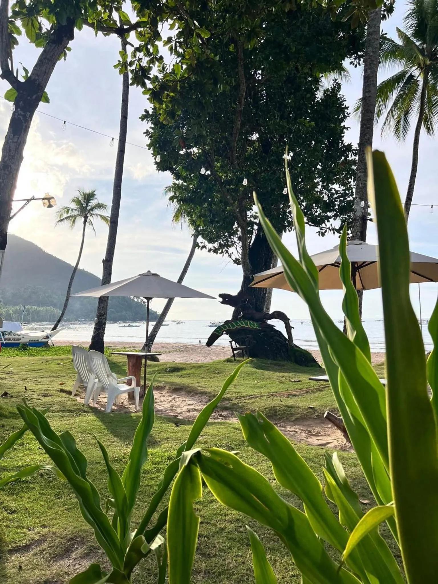 Hill Myna Beach Cottages