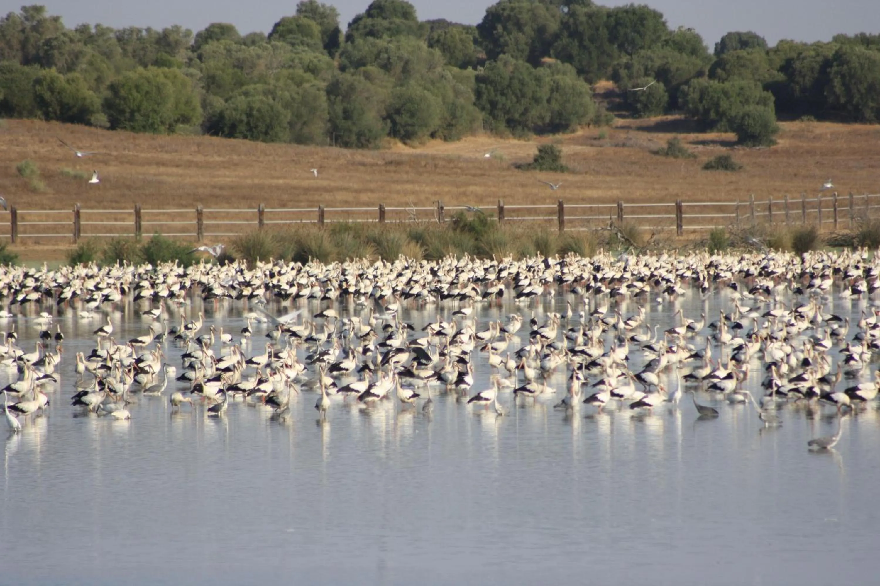 Area and facilities in Hacienda Olontigi