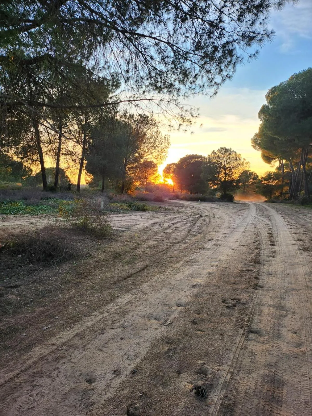 Natural landscape in Hacienda Olontigi