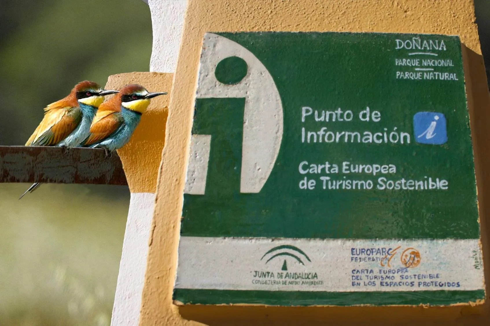 Other in Hacienda Olontigi