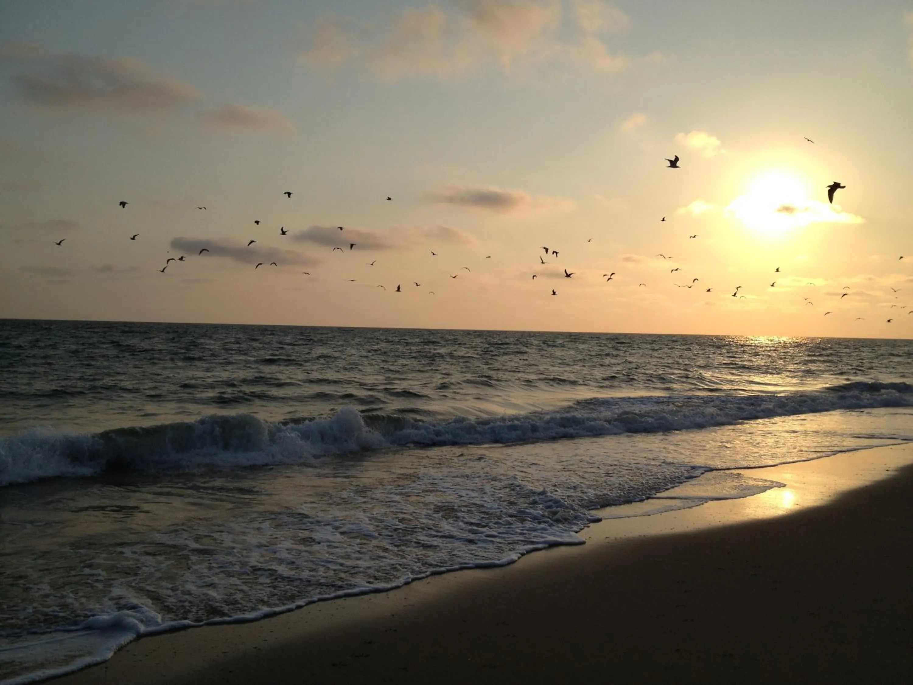 Area and facilities in Hacienda Olontigi