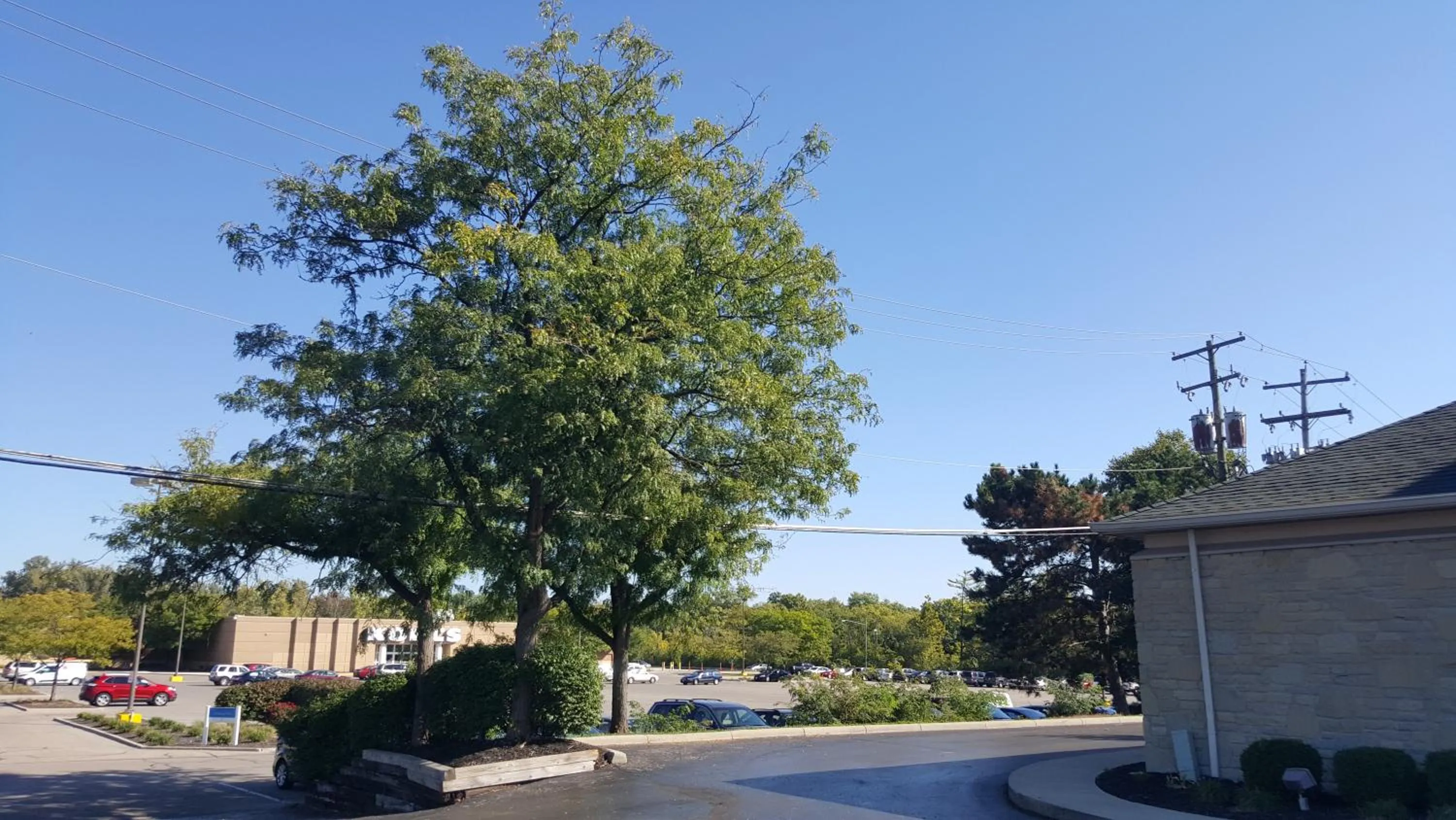Facade/entrance in Motel 6-Columbus, OH - OSU