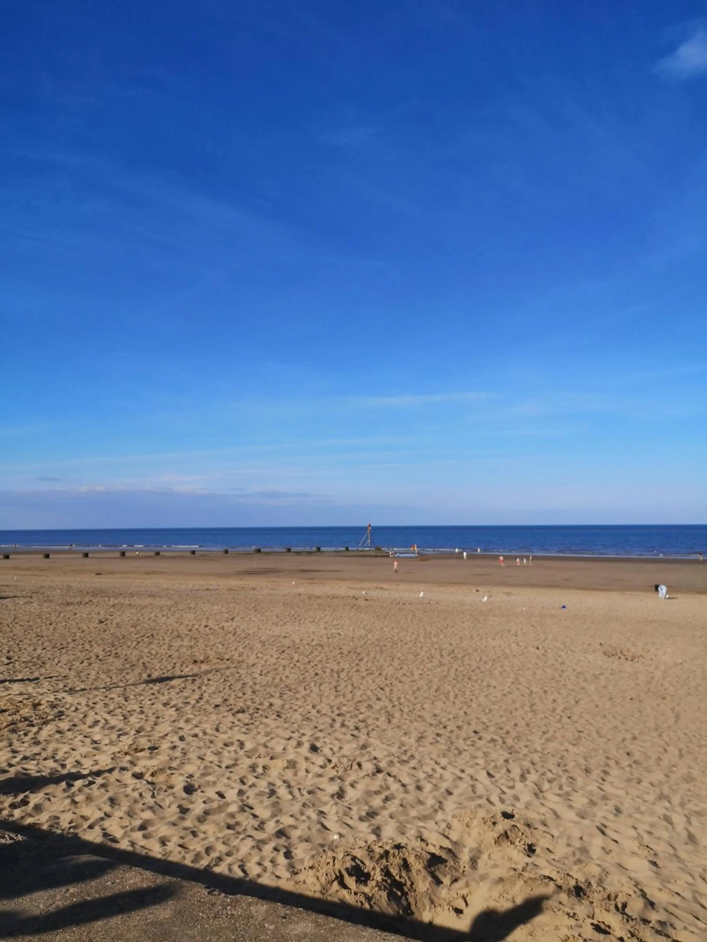 Natural landscape in White Cottage B and B