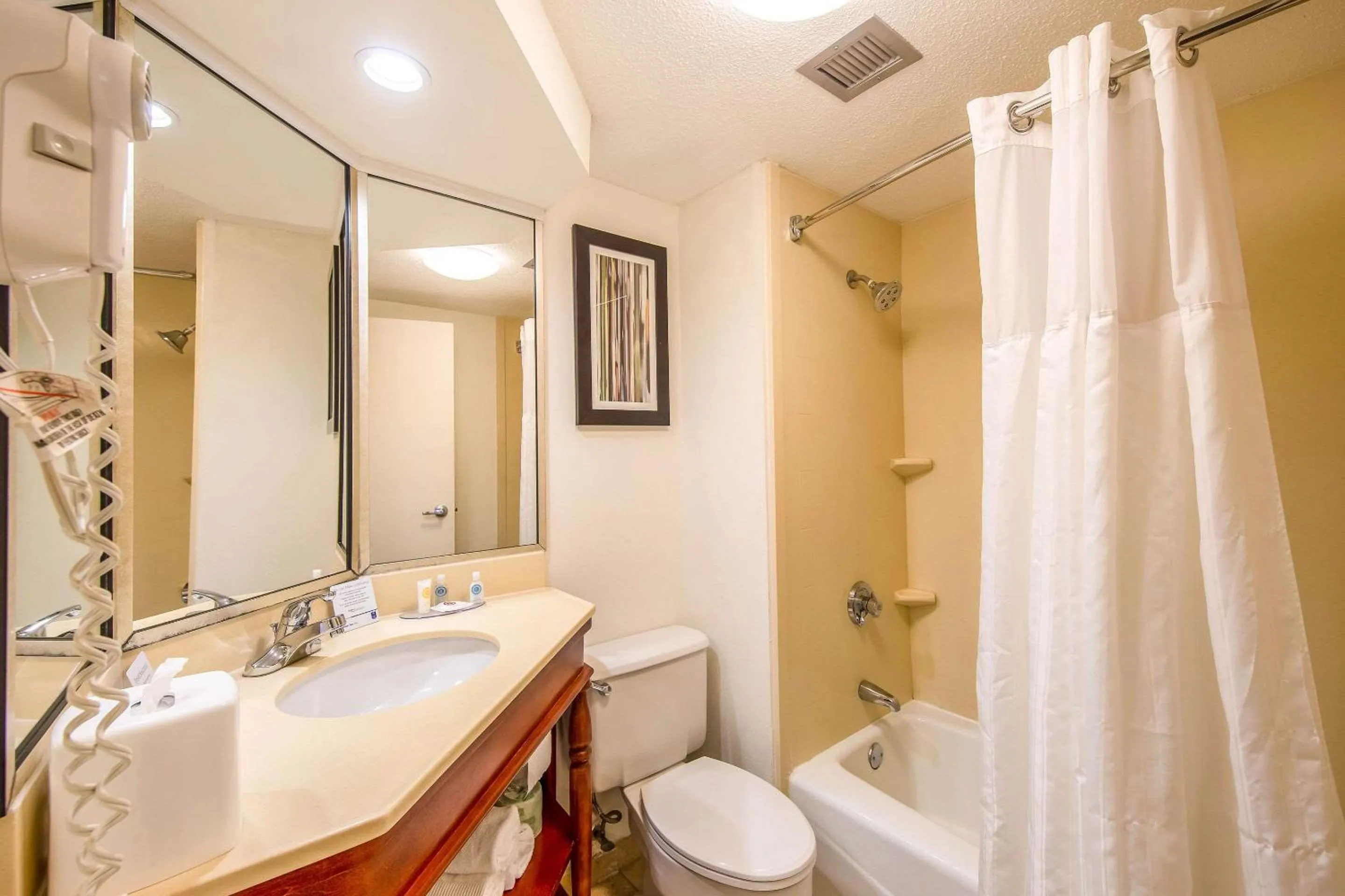 Bathroom in Comfort Inn Greenville - Haywood Mall