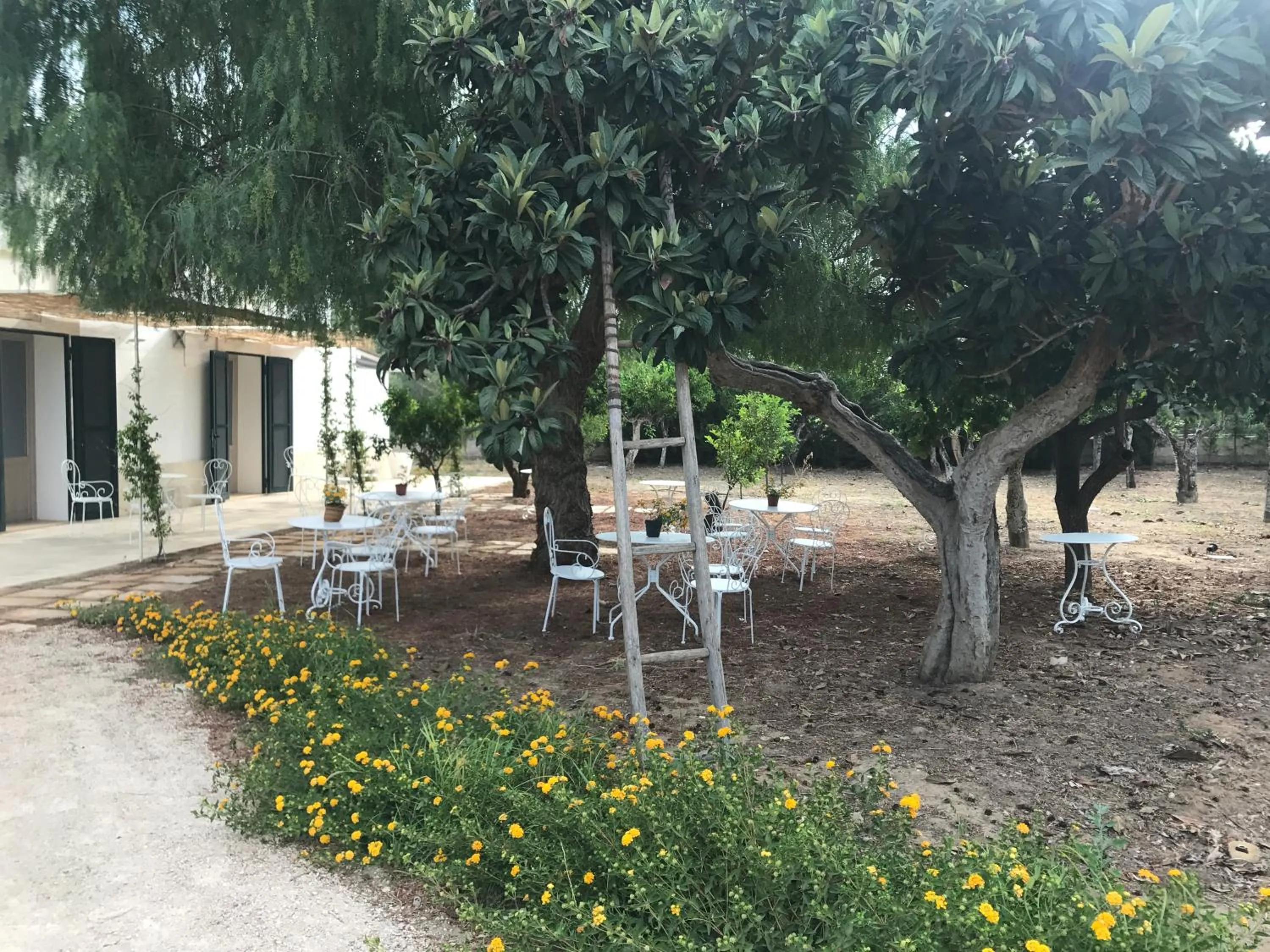 Natural landscape in Tenuta Castelle