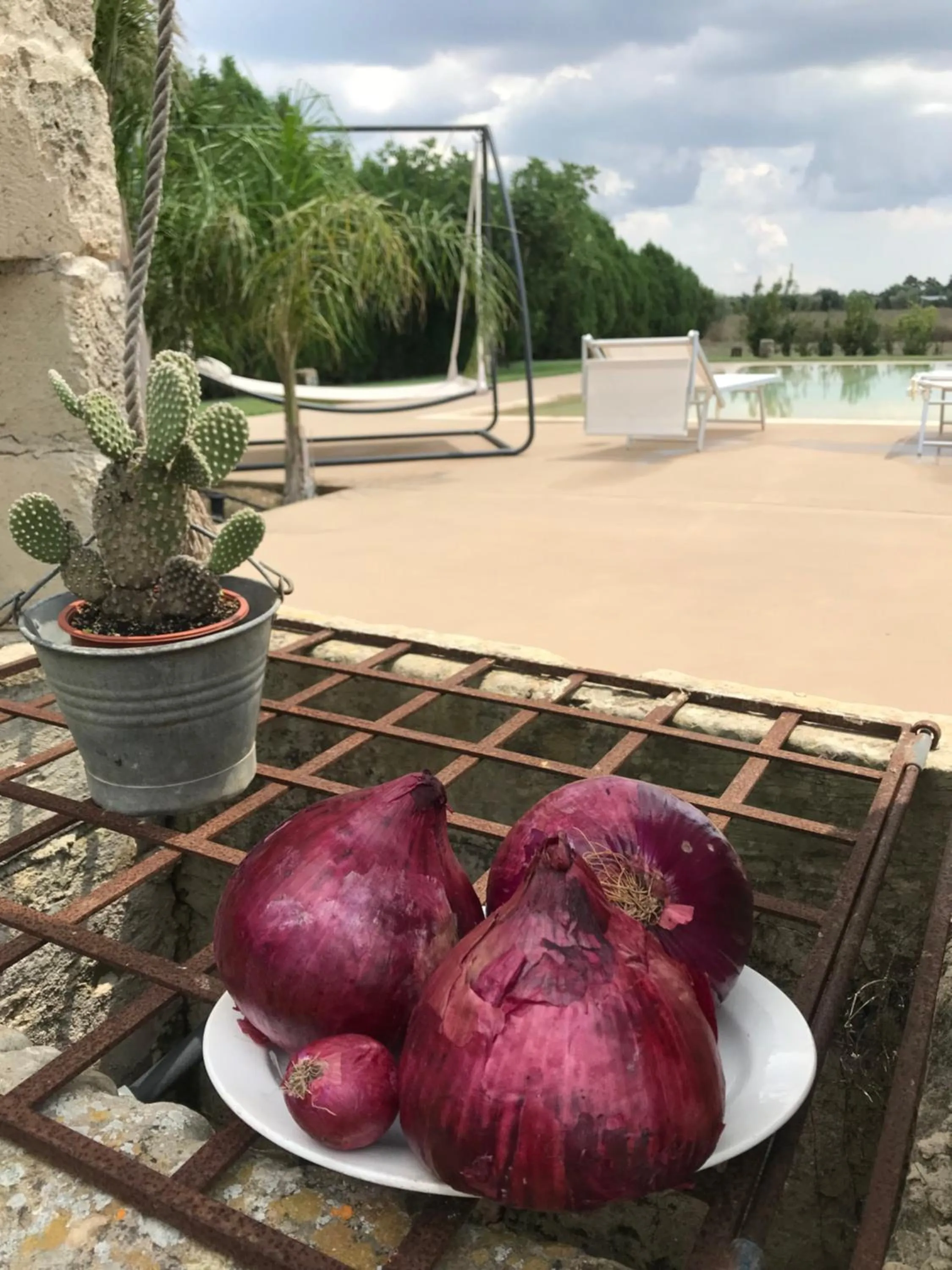 Garden in Tenuta Castelle