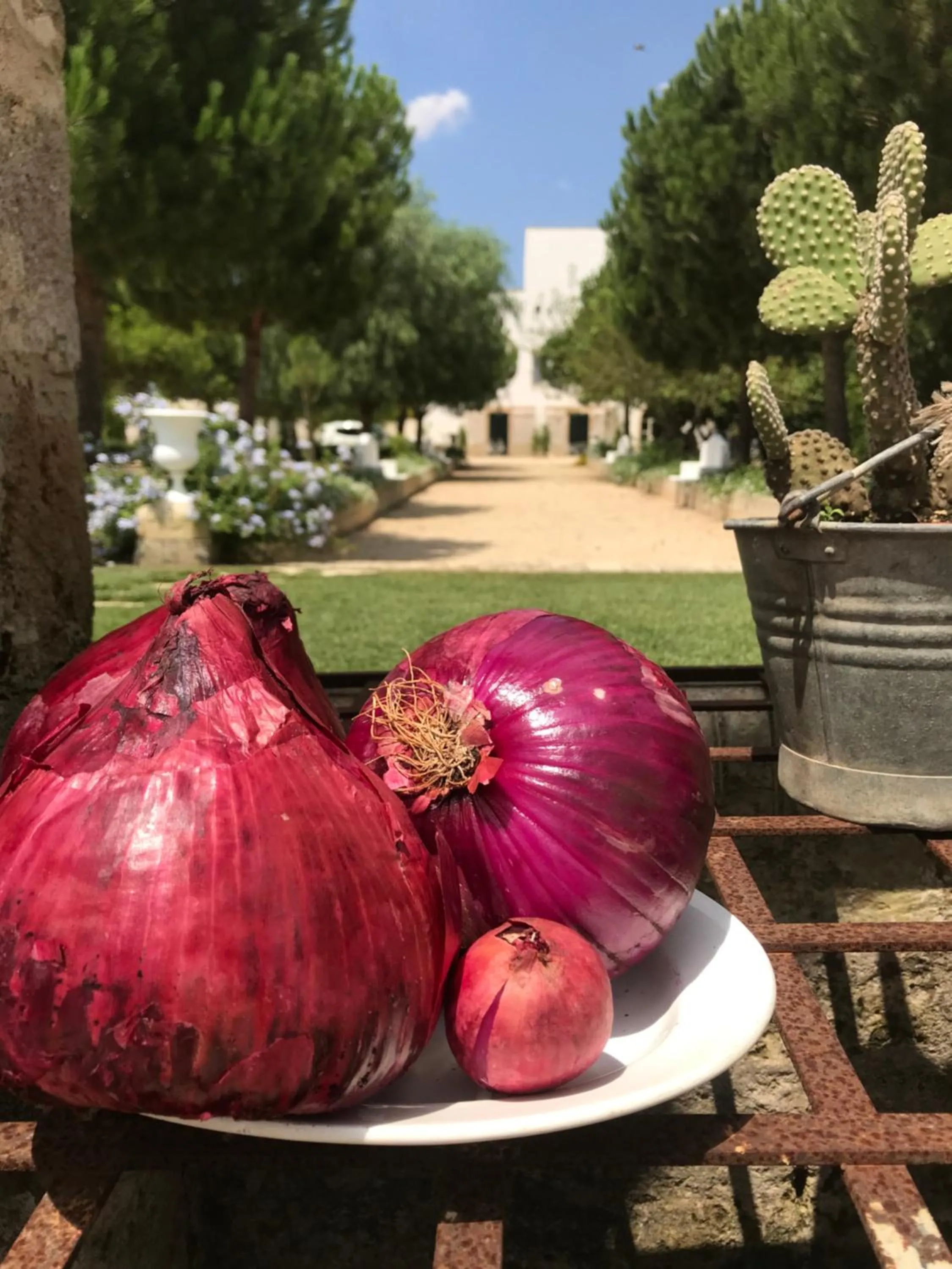 Garden in Tenuta Castelle
