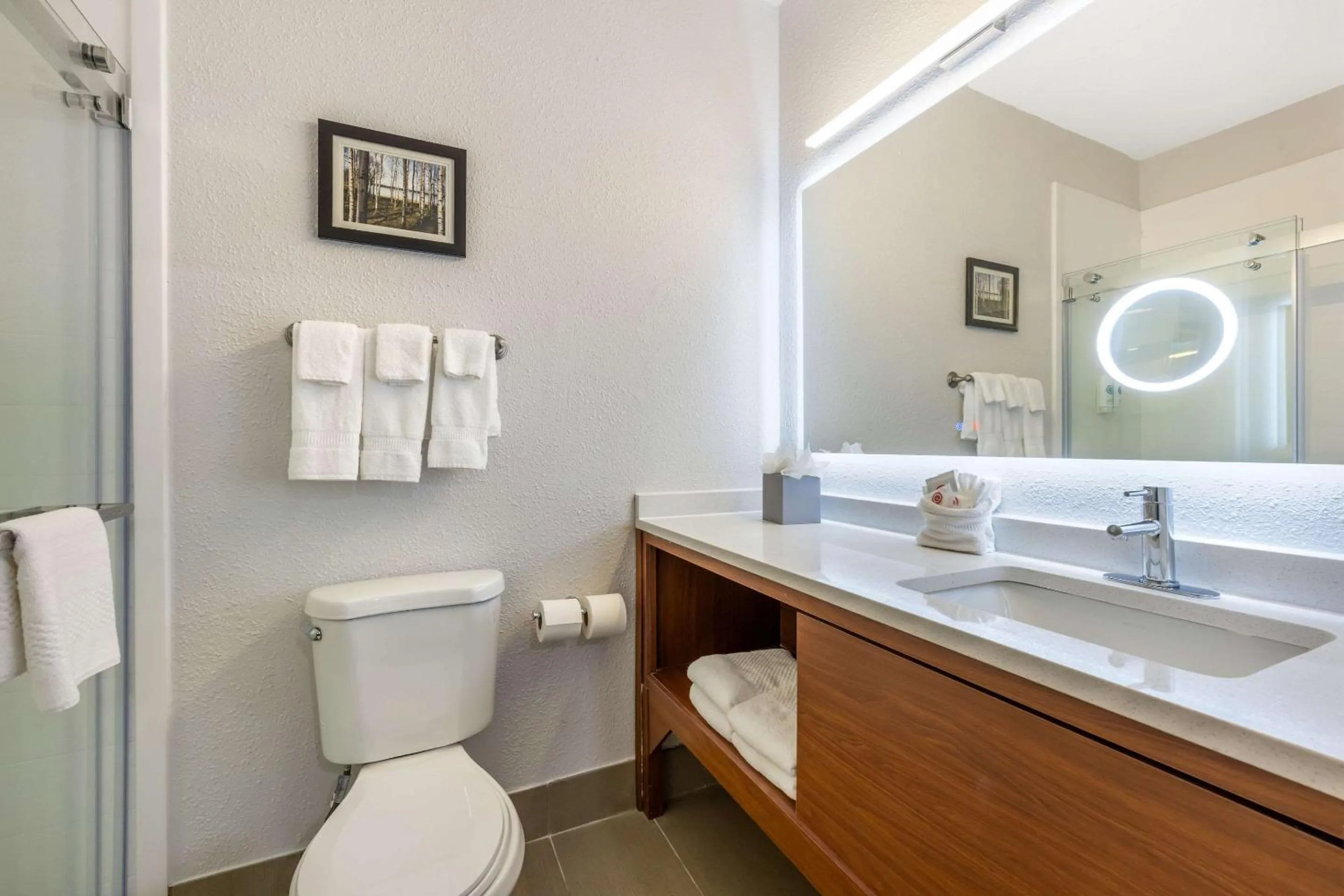 Bedroom in Comfort Suites Omaha East-Council Bluffs