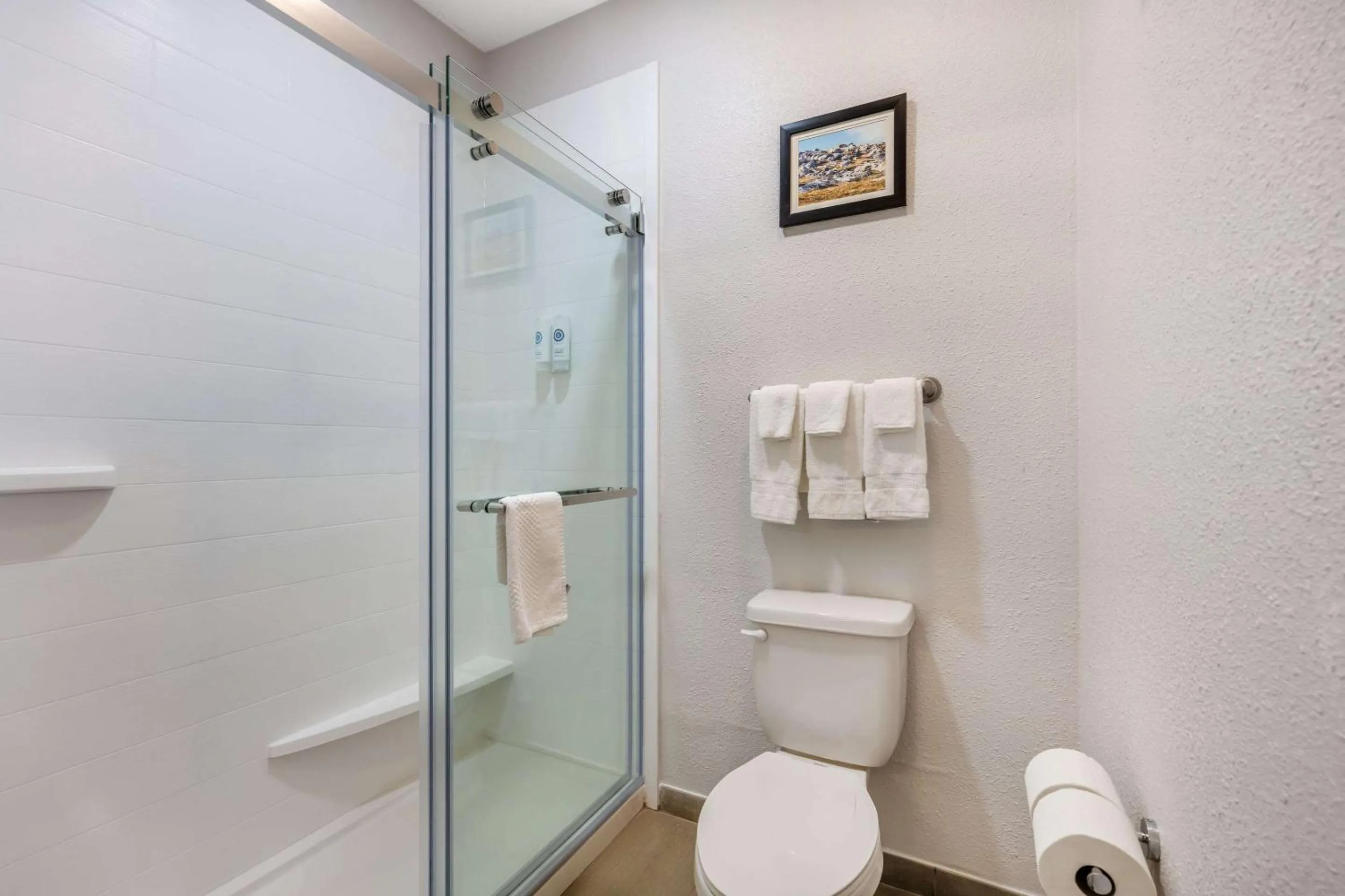 Bedroom in Comfort Suites Omaha East-Council Bluffs