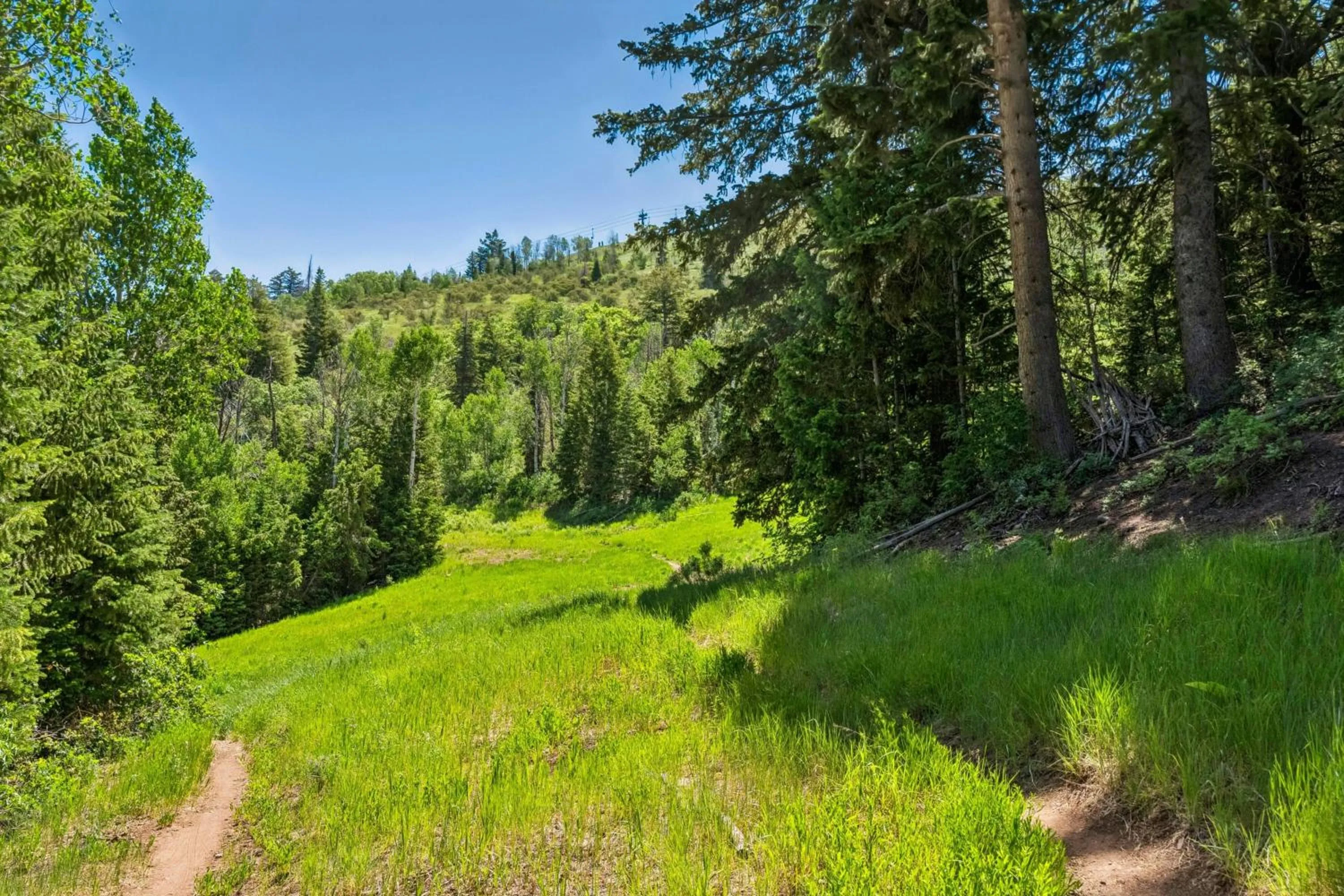 Hiking in St. Regis Deer Valley