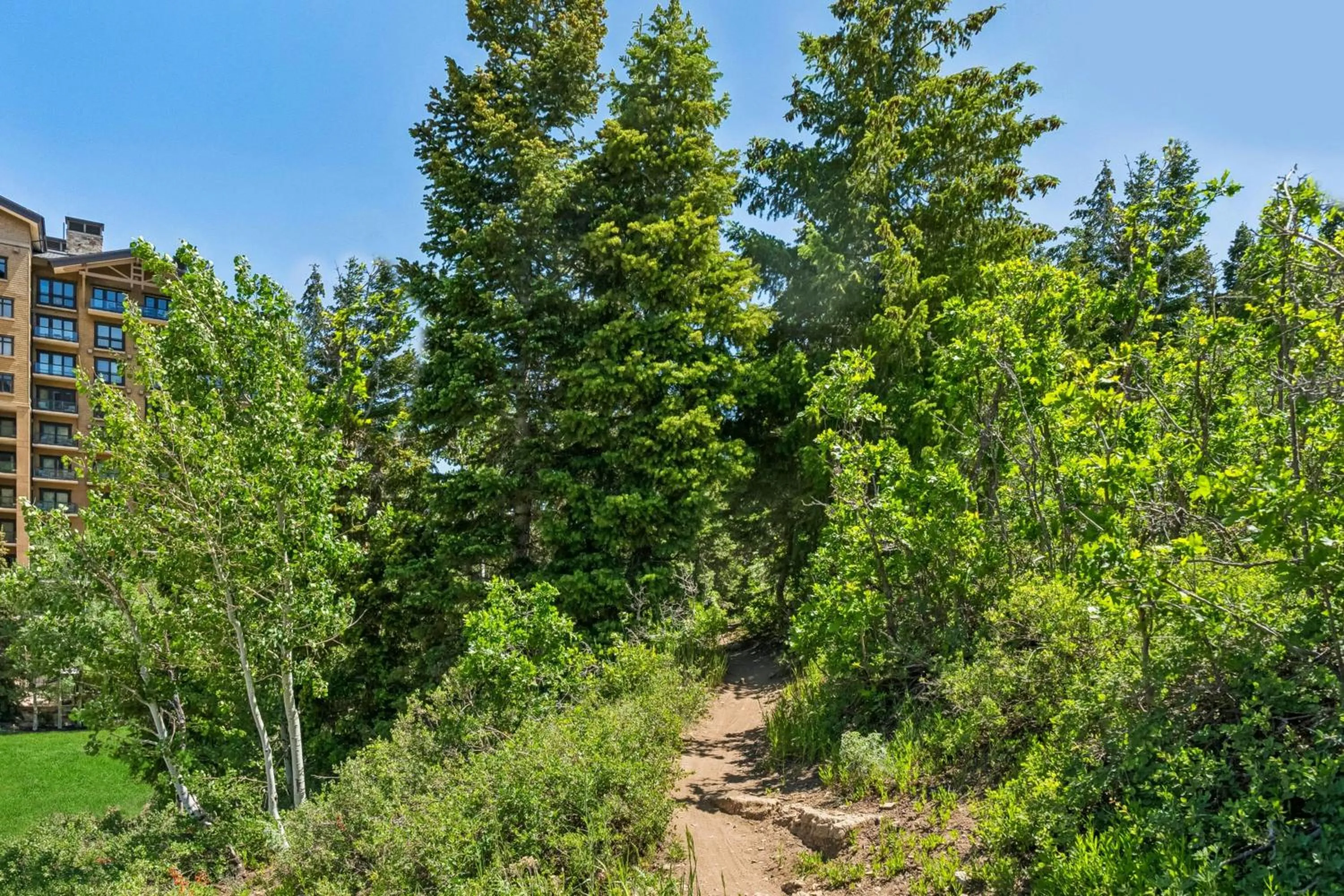 Hiking in St. Regis Deer Valley