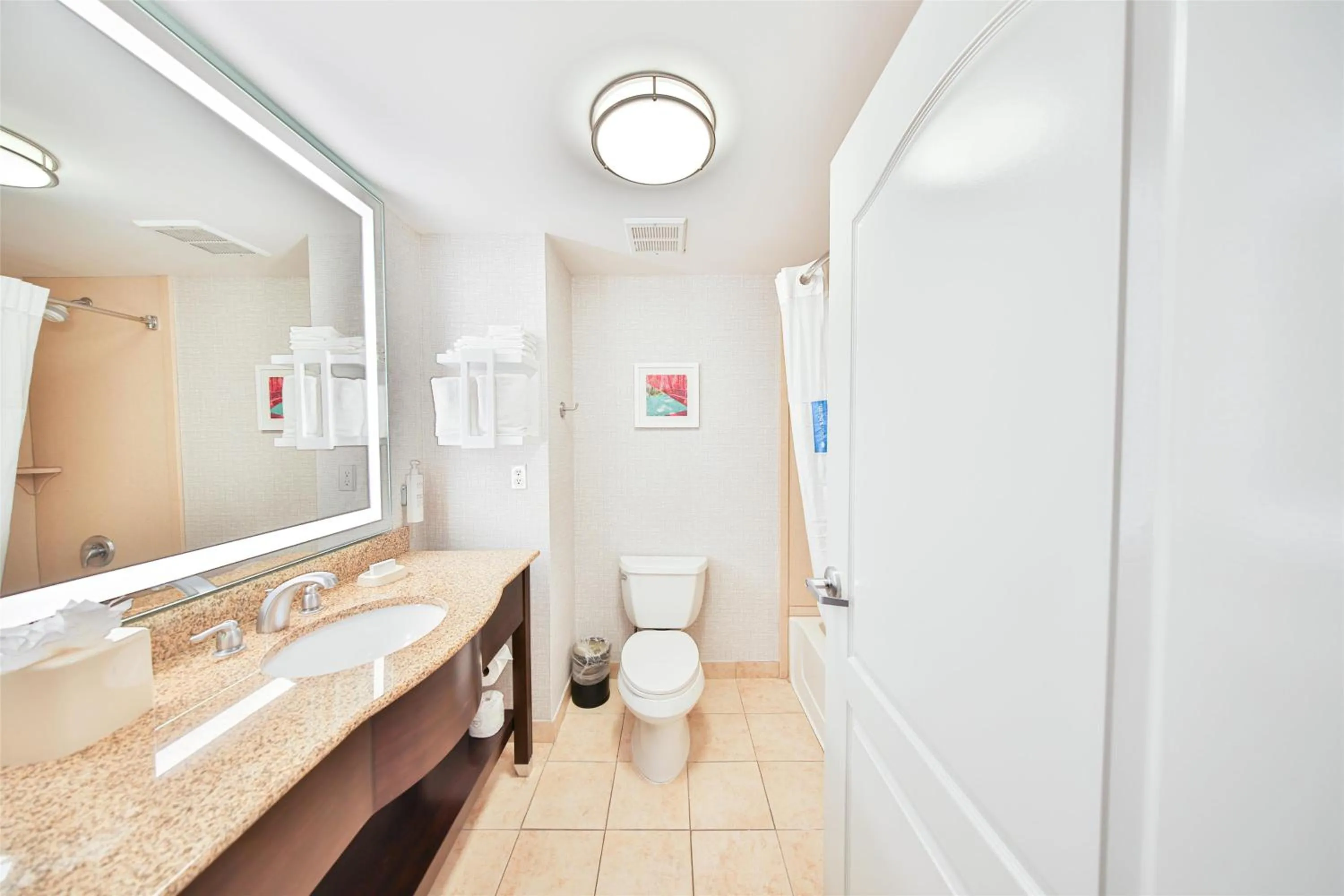 Bathroom in Hampton Inn & Suites by Hilton Seattle/Kent