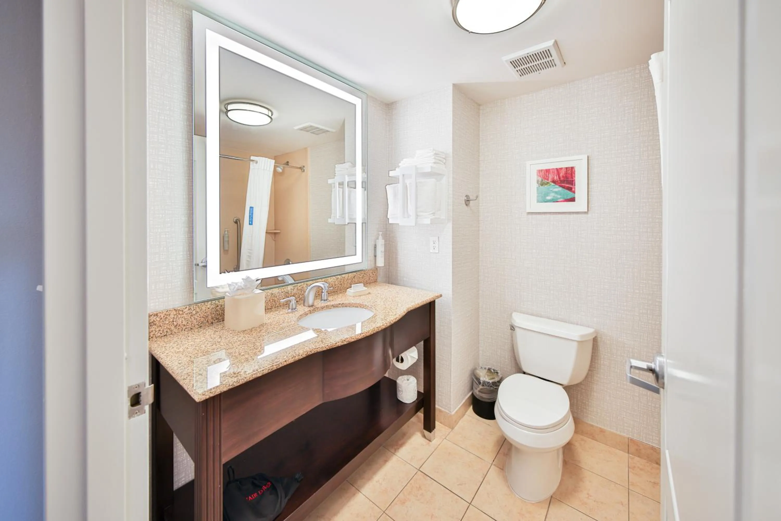 Toilet in Hampton Inn & Suites by Hilton Seattle/Kent